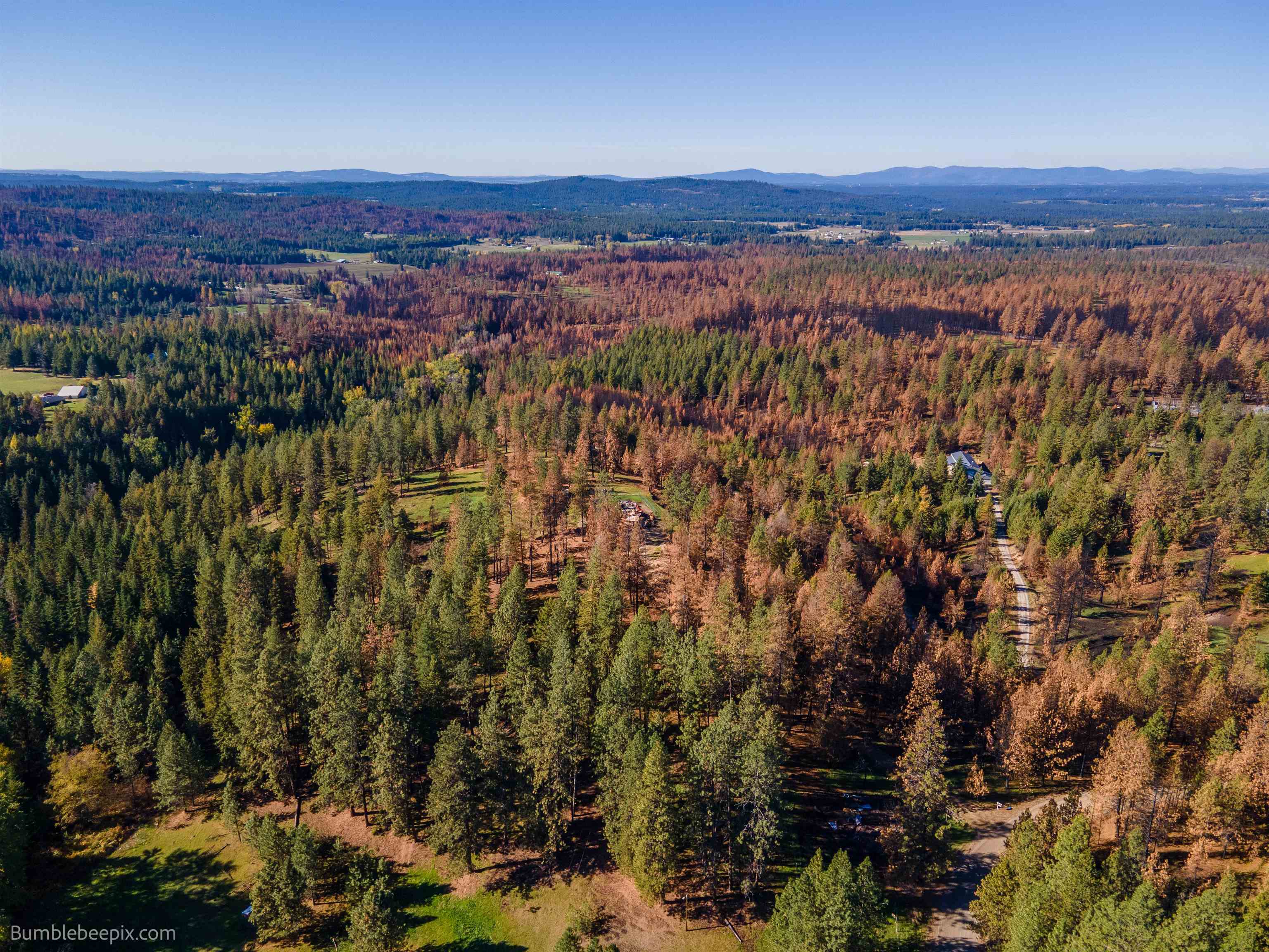 15428 East Nelson Road Elk, WA 99009 - Photo 26 of 36 Gallery Image 26