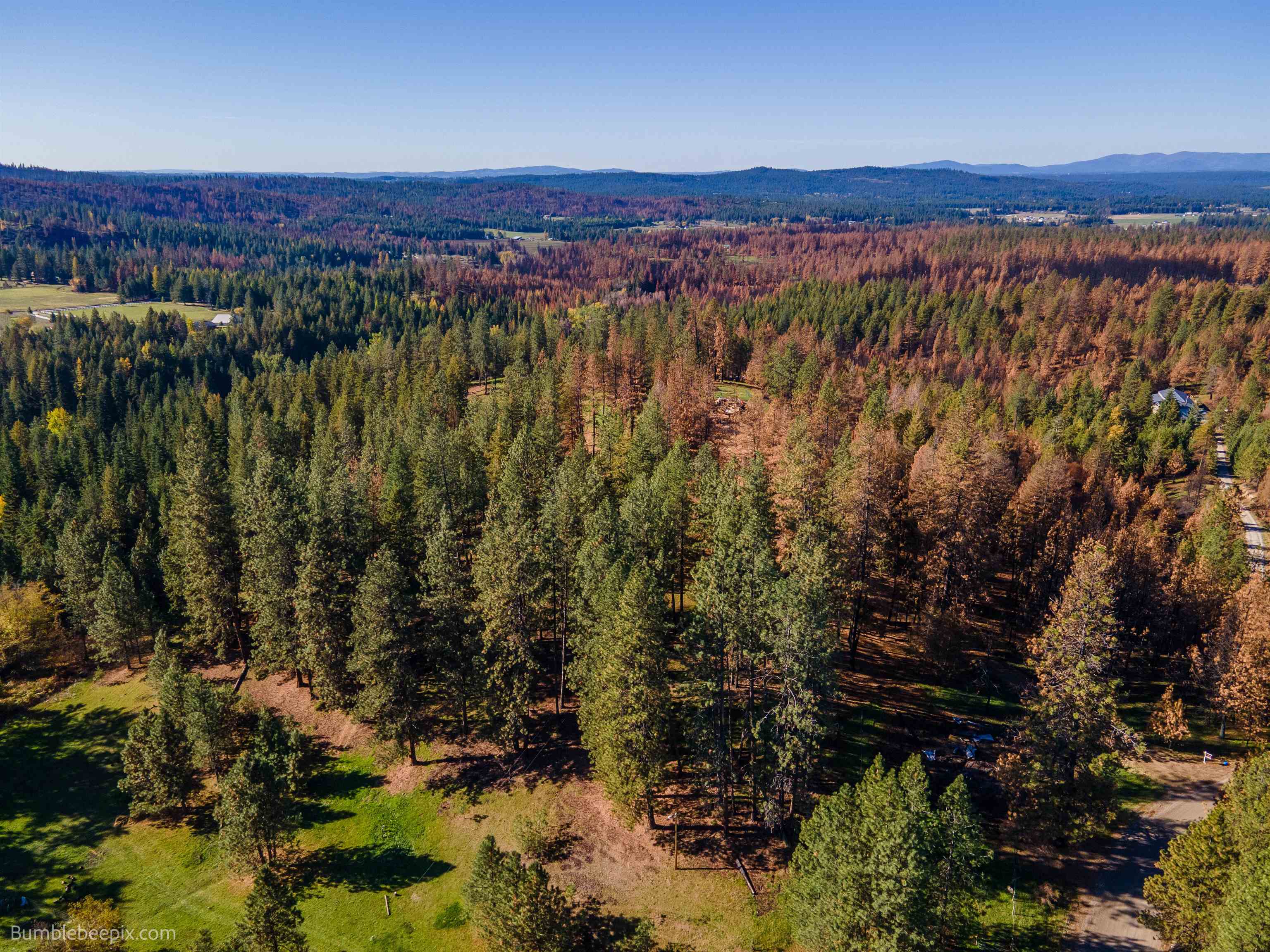 15428 East Nelson Road Elk, WA 99009 - Photo 27 of 36 Gallery Image 27