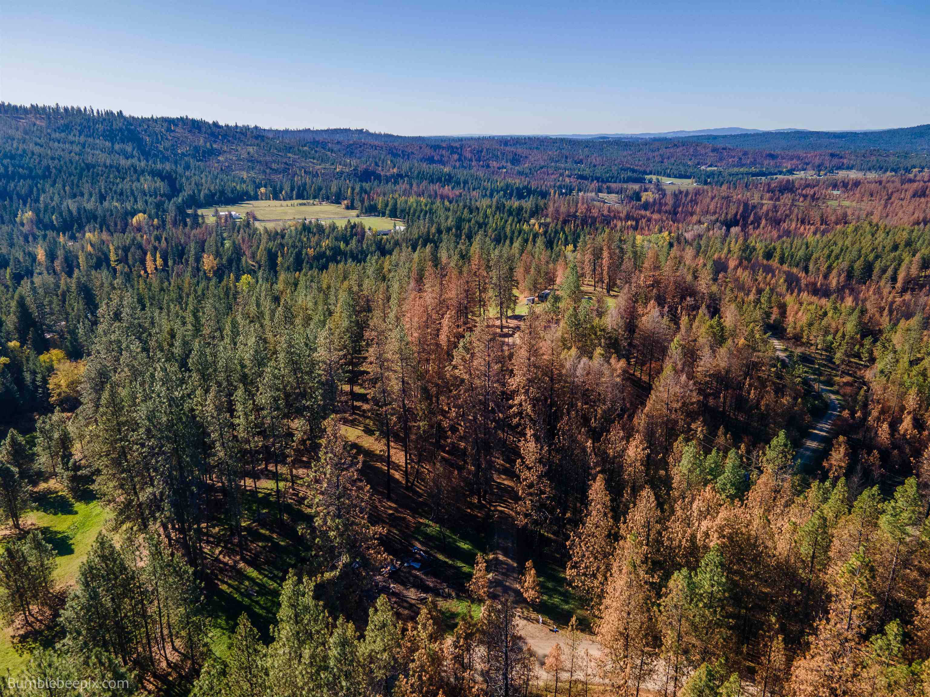 15428 East Nelson Road Elk, WA 99009 - Photo 28 of 36 Gallery Image 28