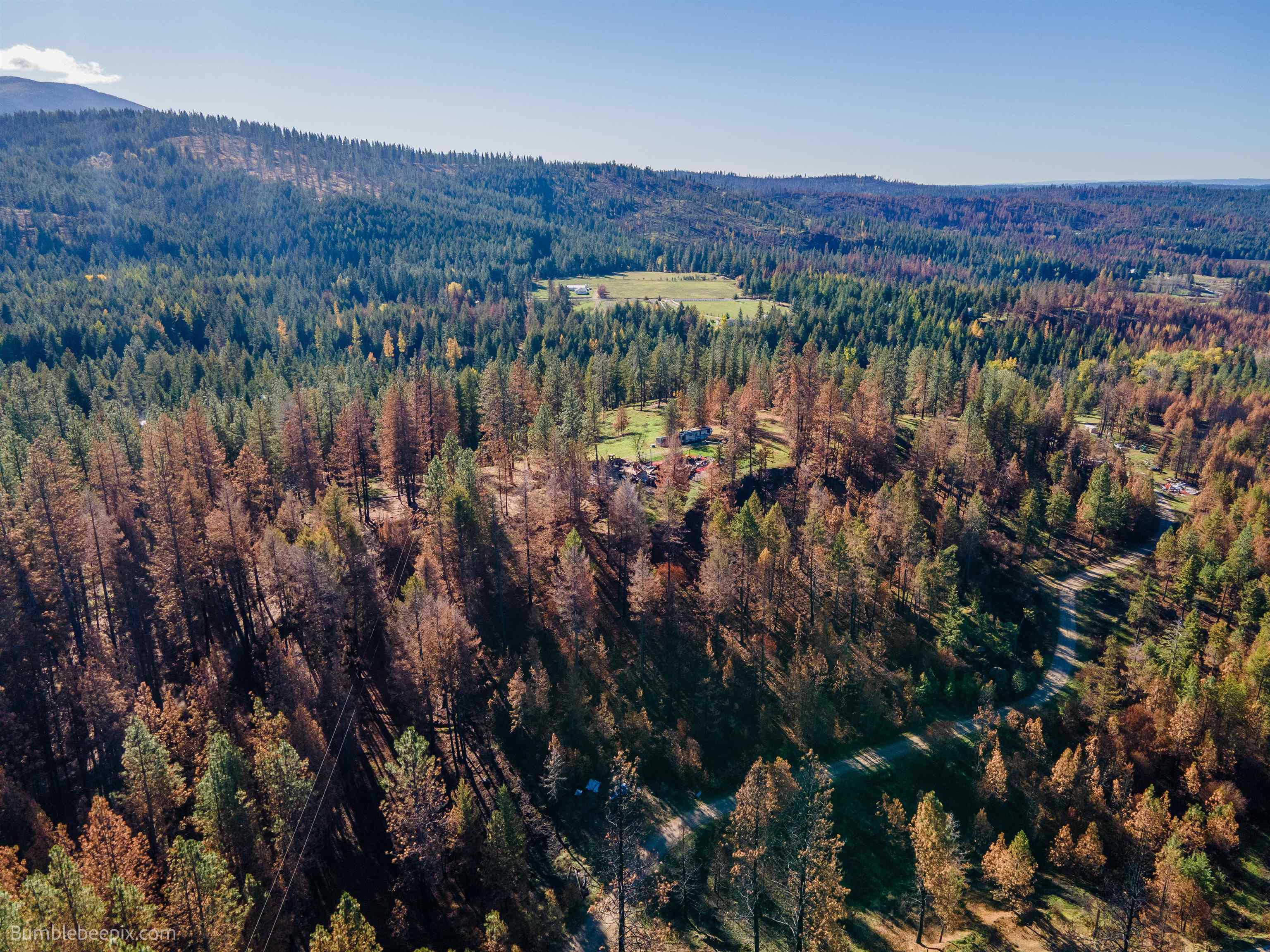 15428 East Nelson Road Elk, WA 99009 - Photo 29 of 36 Gallery Image 29