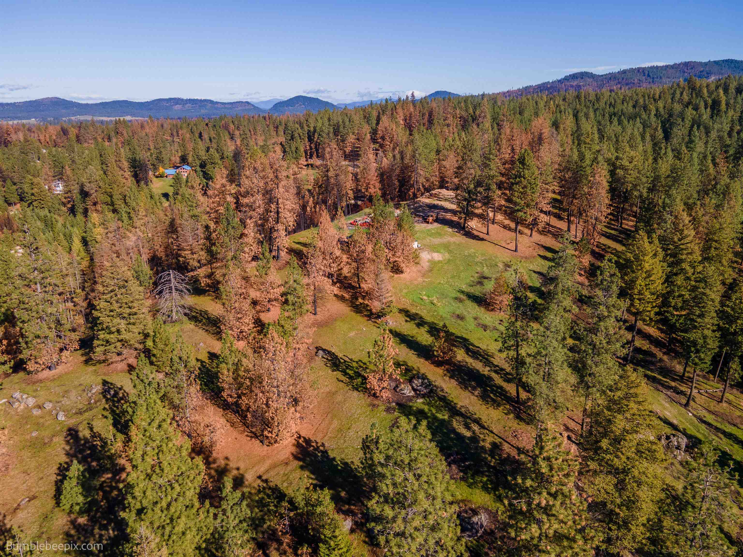15428 East Nelson Road Elk, WA 99009 - Photo 32 of 36 Gallery Image 32