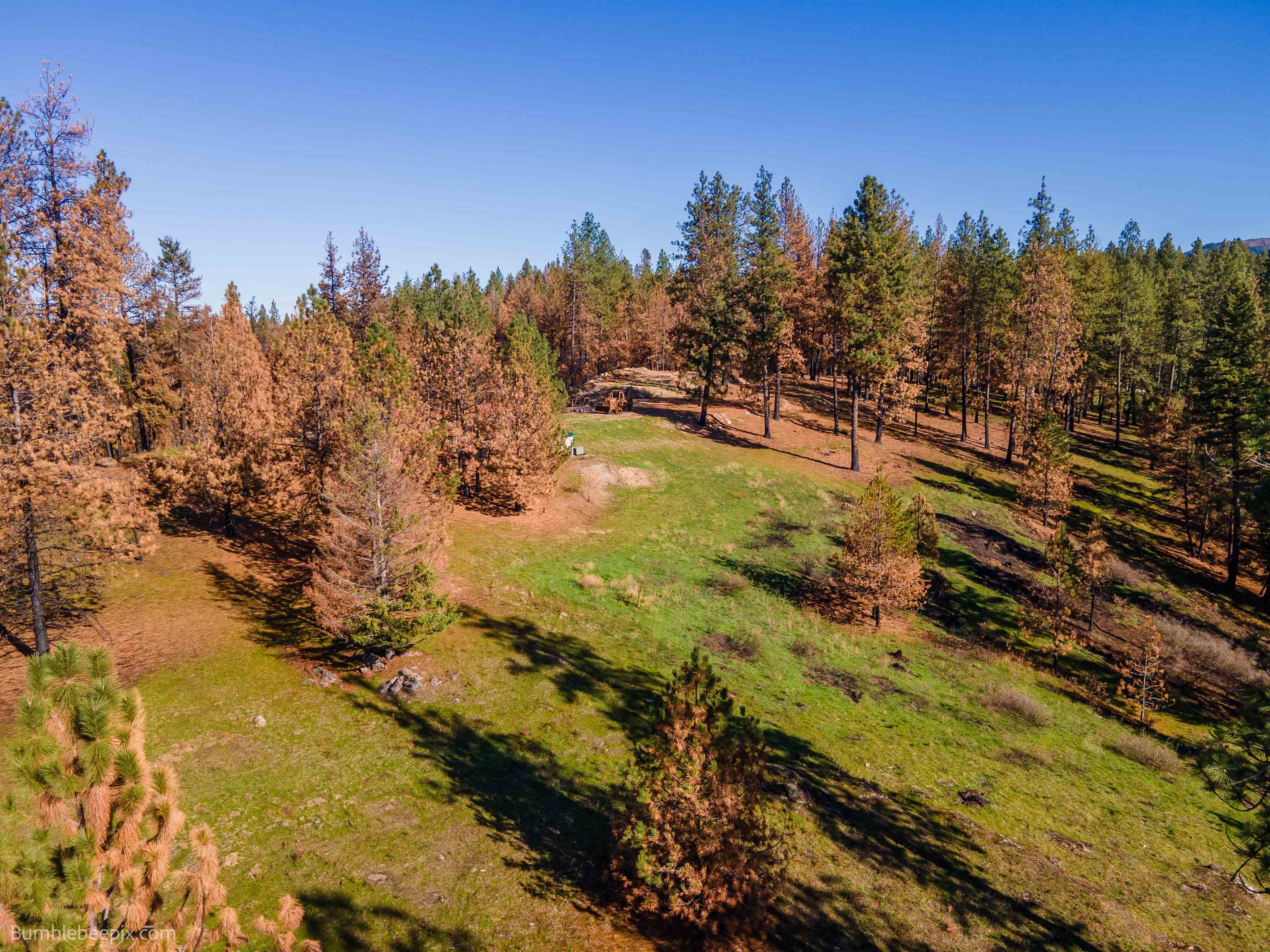 15428 East Nelson Road Elk, WA 99009 - Photo 34 of 36 Gallery Image 34