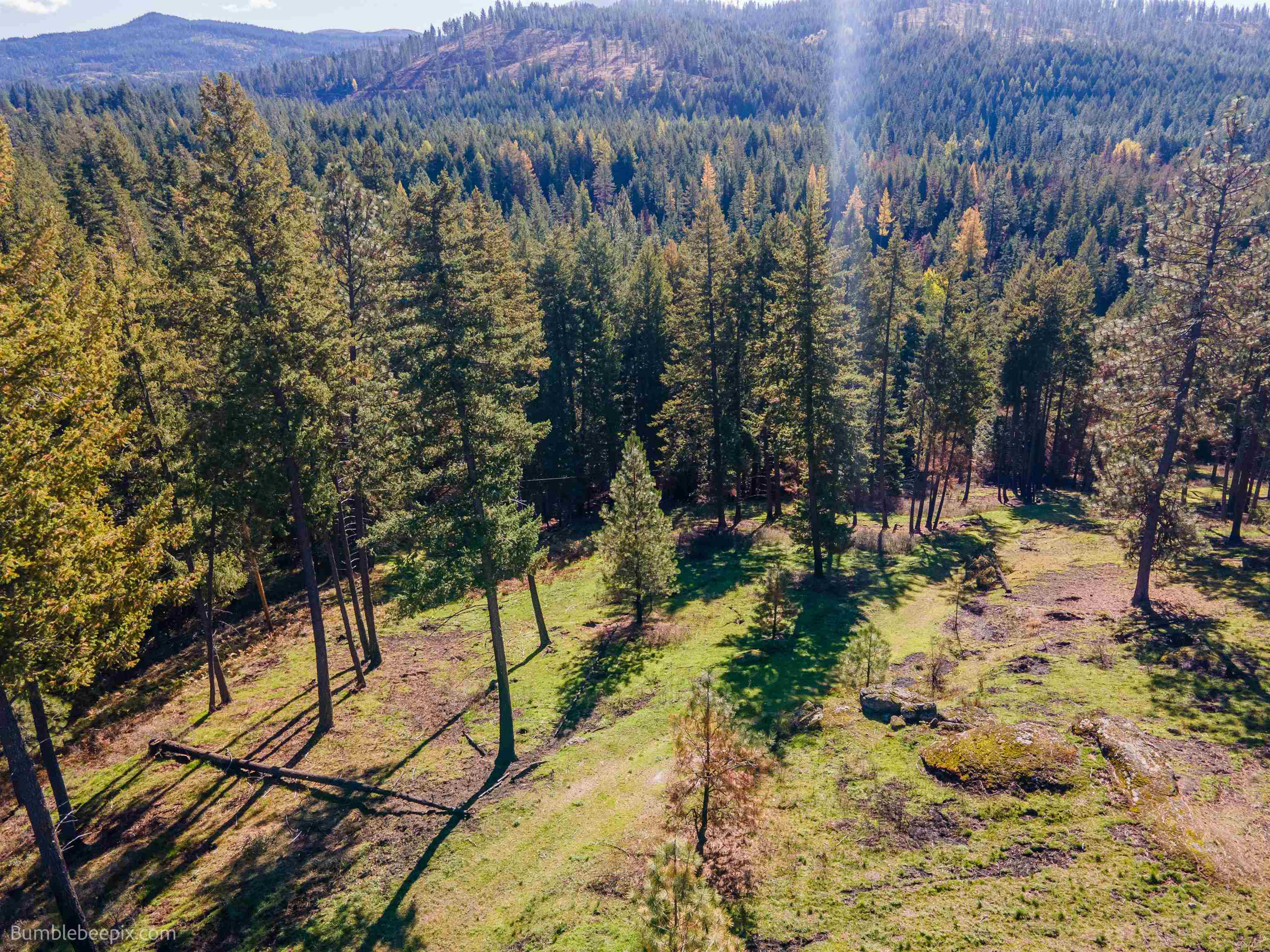 15428 East Nelson Road Elk, WA 99009 - Photo 35 of 36 Gallery Image 35