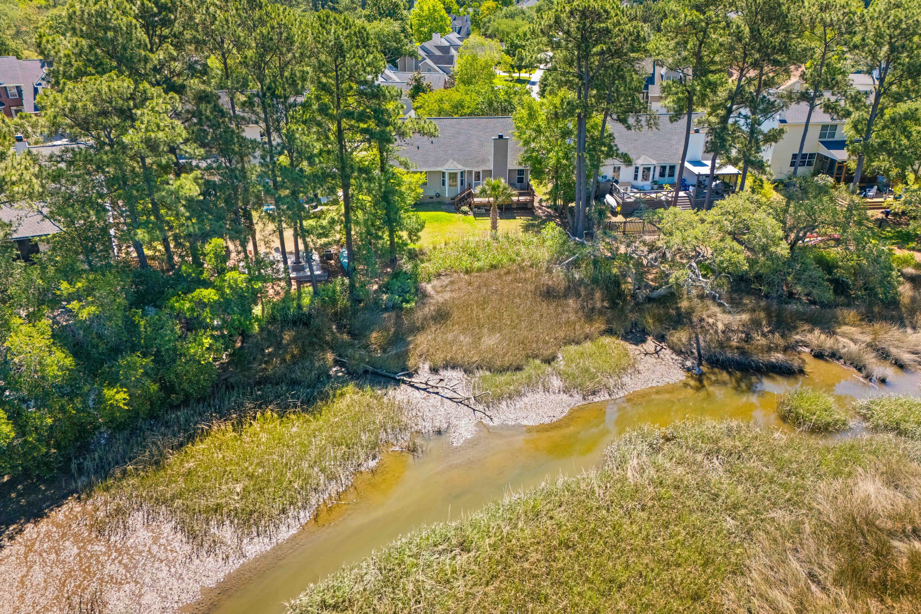 113 Historic Drive Mount Pleasant, SC 29464 - Photo 48 of 49