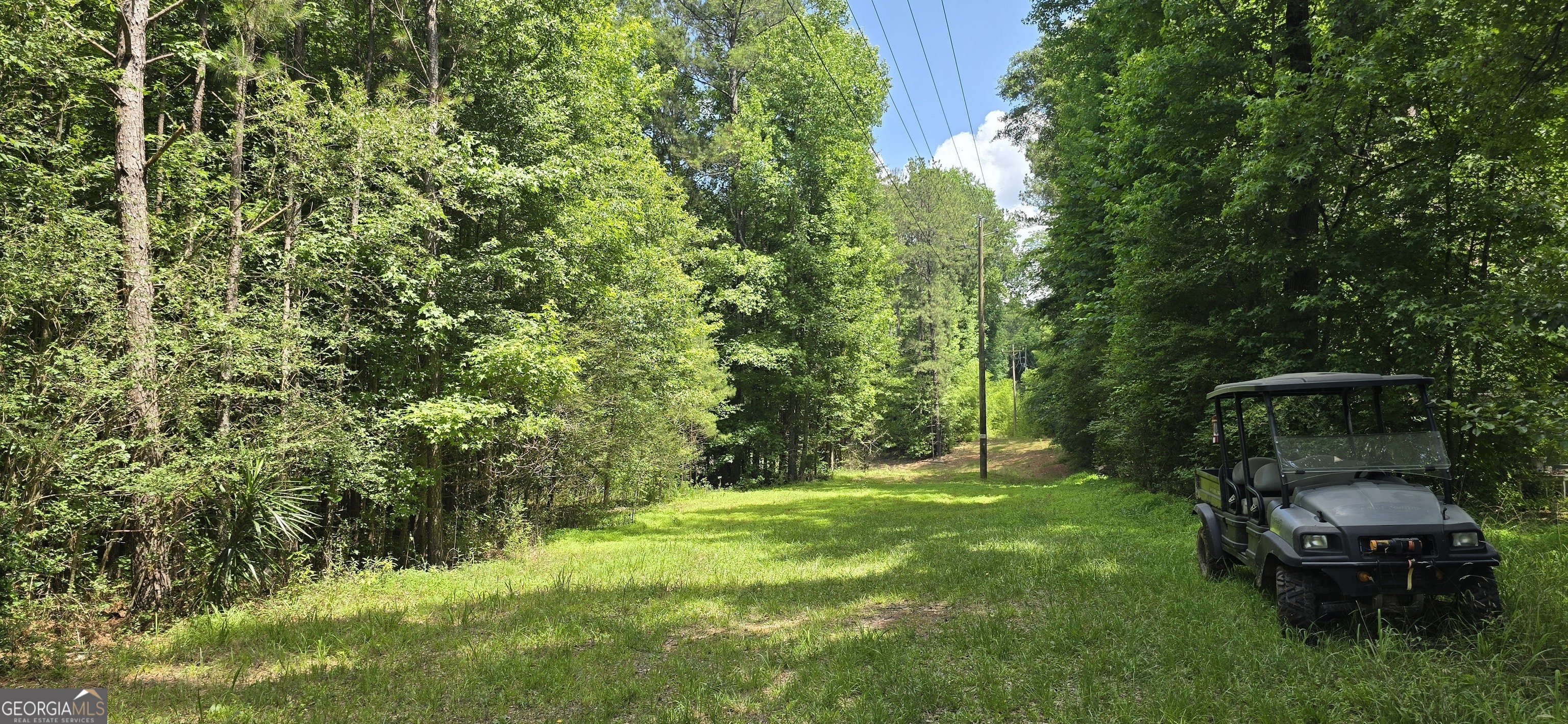 1693 South McDonough Road Griffin, GA 30224 - Photo 11 of 93