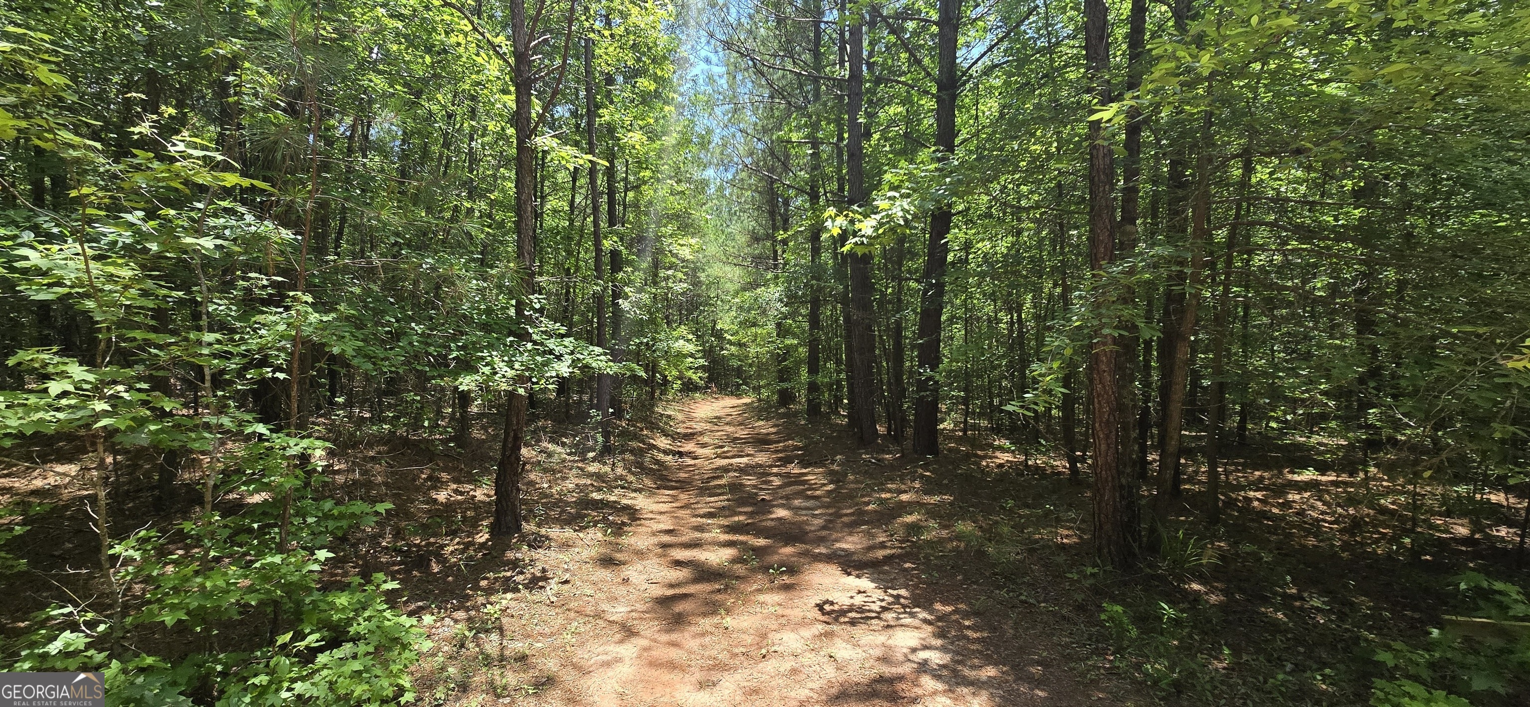 1693 South McDonough Road Griffin, GA 30224 - Photo 13 of 93