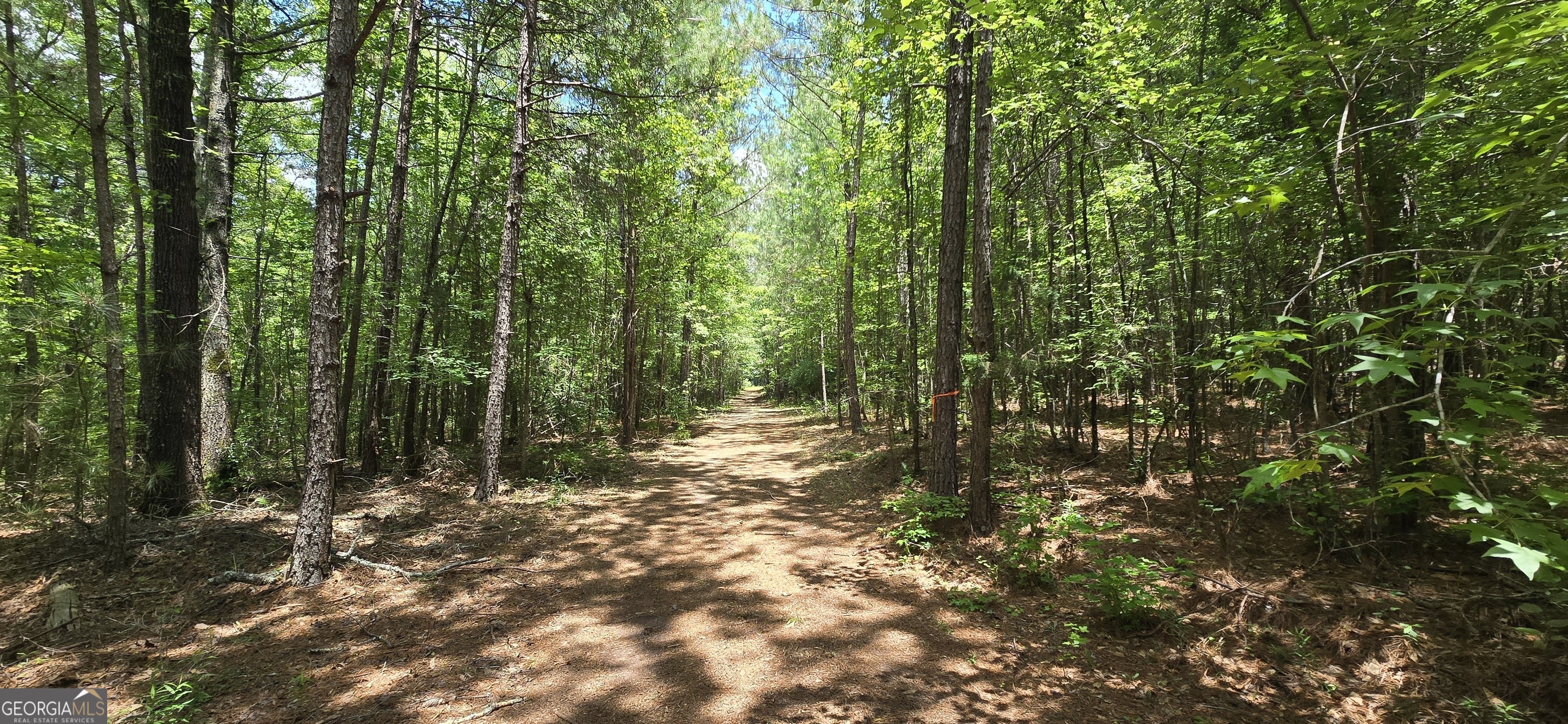 1693 South McDonough Road Griffin, GA 30224 - Photo 15 of 93