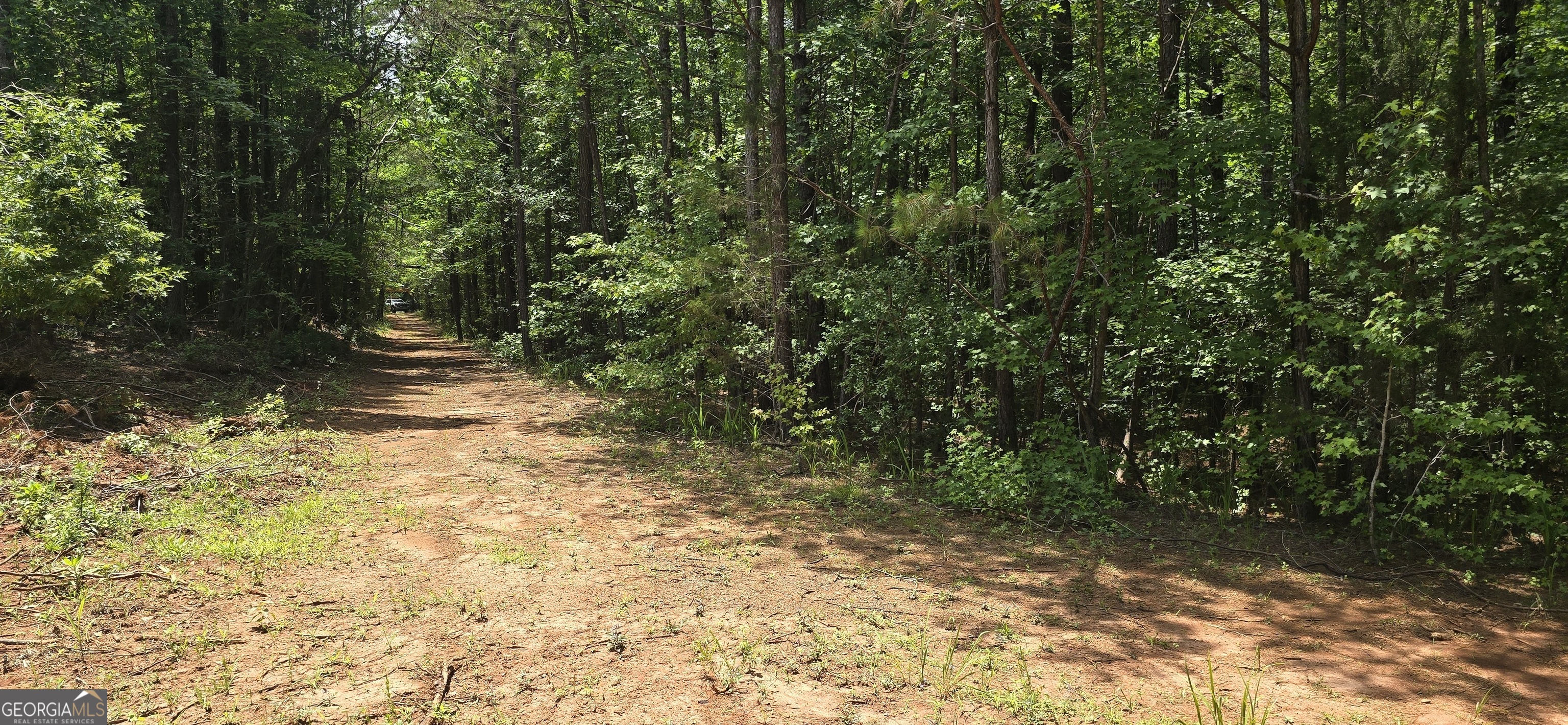 1693 South McDonough Road Griffin, GA 30224 - Photo 17 of 93
