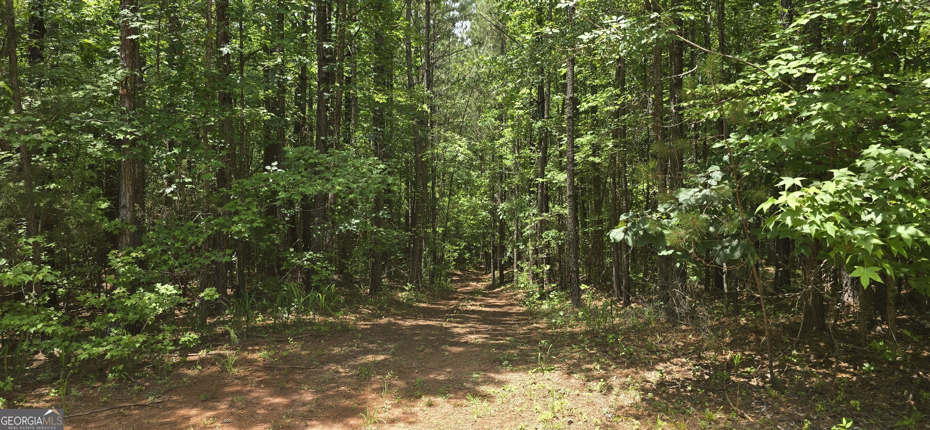1693 South McDonough Road Griffin, GA 30224 - Photo 18 of 93