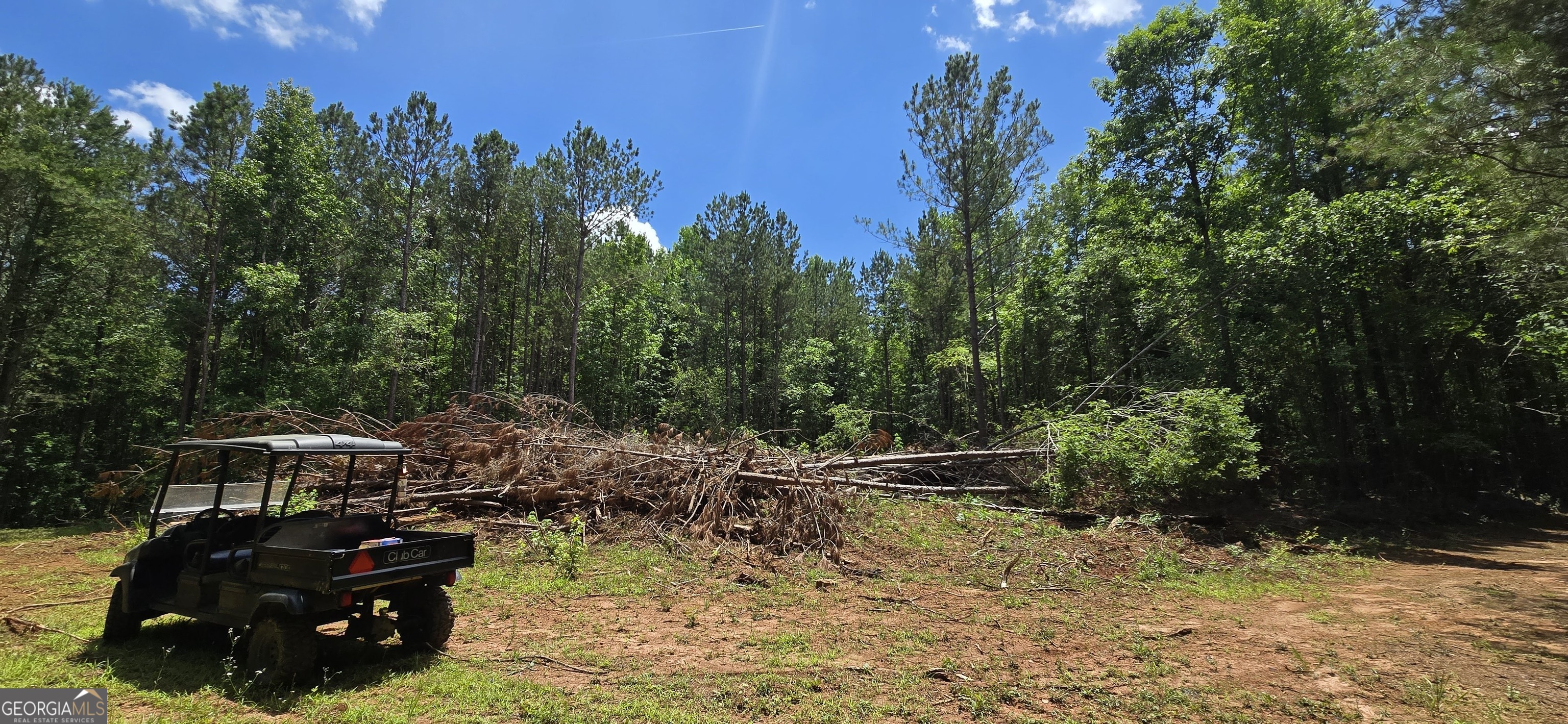 1693 South McDonough Road Griffin, GA 30224 - Photo 19 of 93