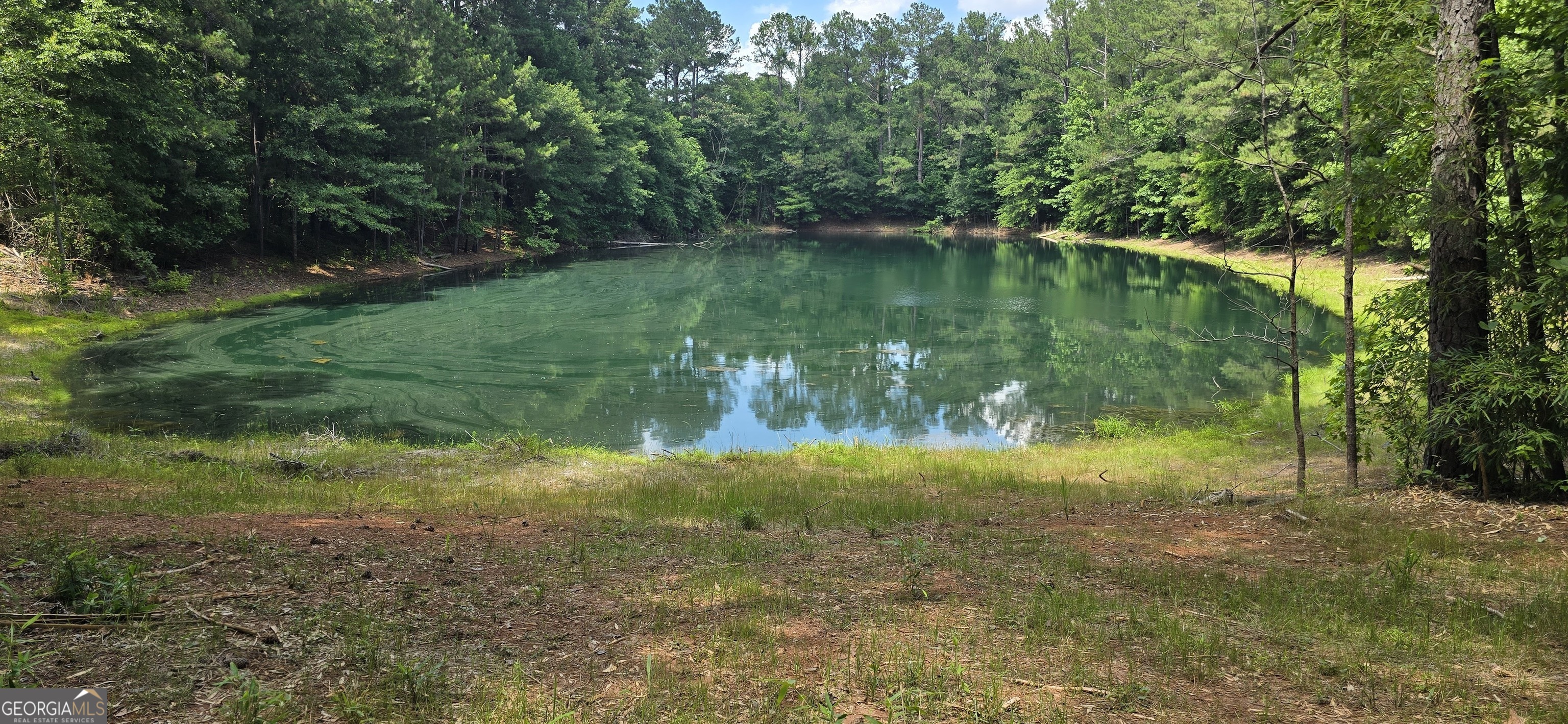 1693 South McDonough Road Griffin, GA 30224 - Photo 2 of 93
