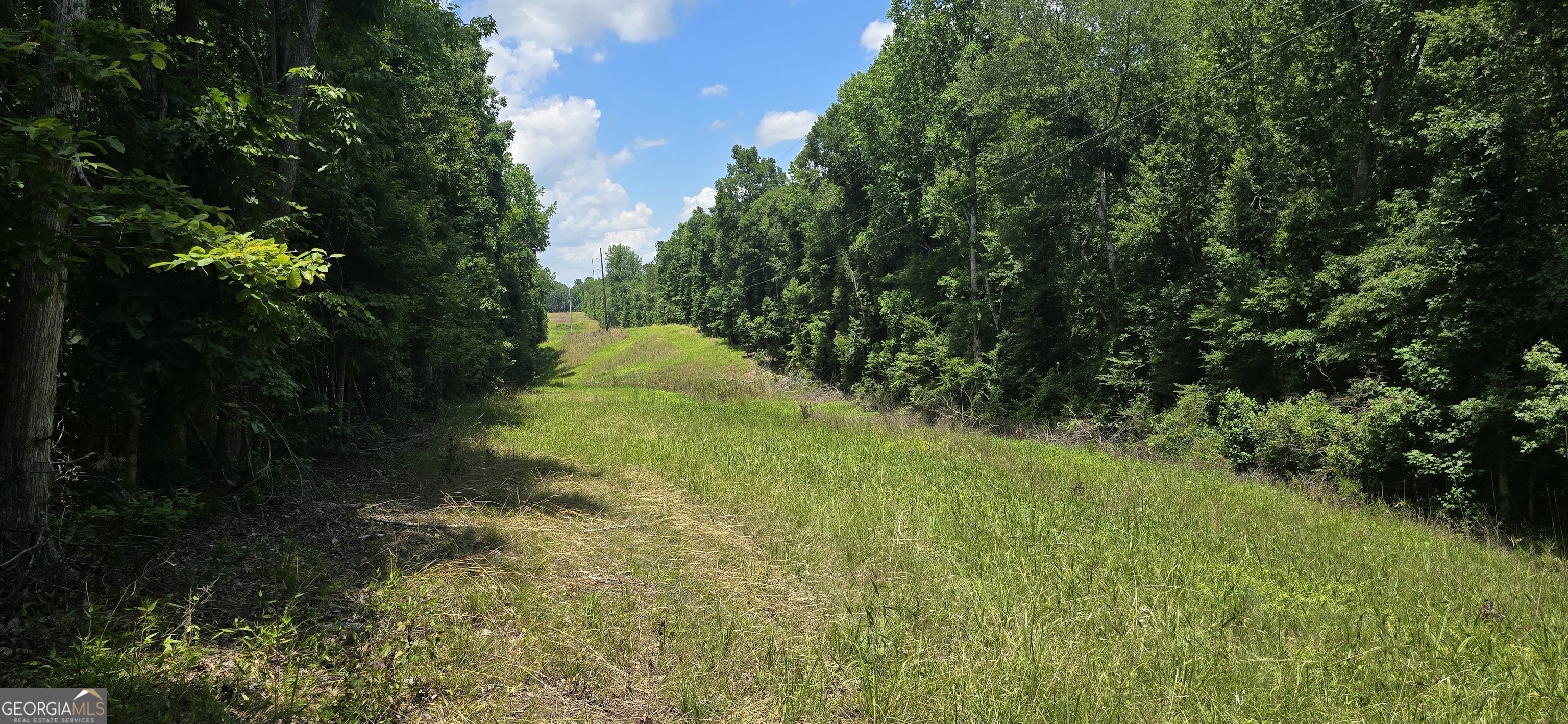 1693 South McDonough Road Griffin, GA 30224 - Photo 21 of 93