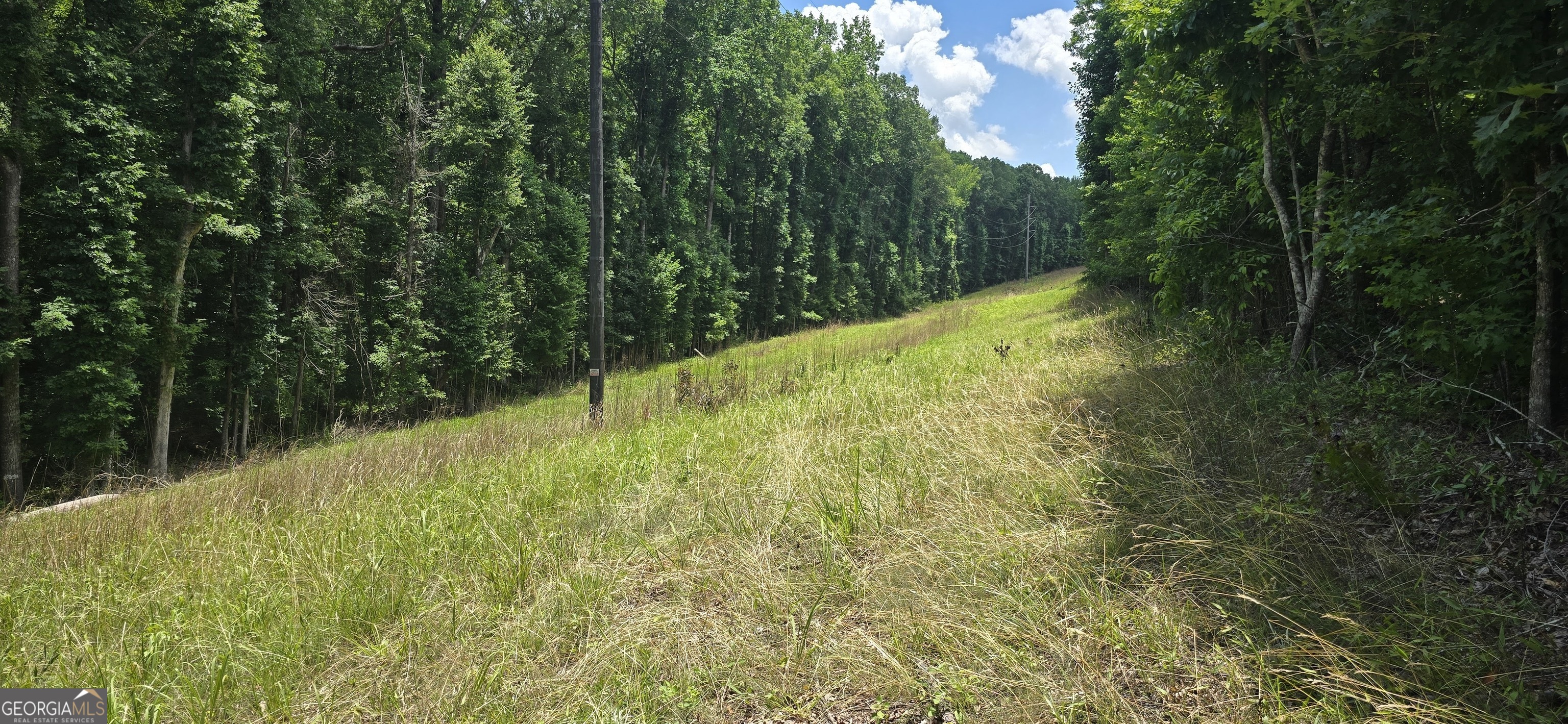 1693 South McDonough Road Griffin, GA 30224 - Photo 22 of 93