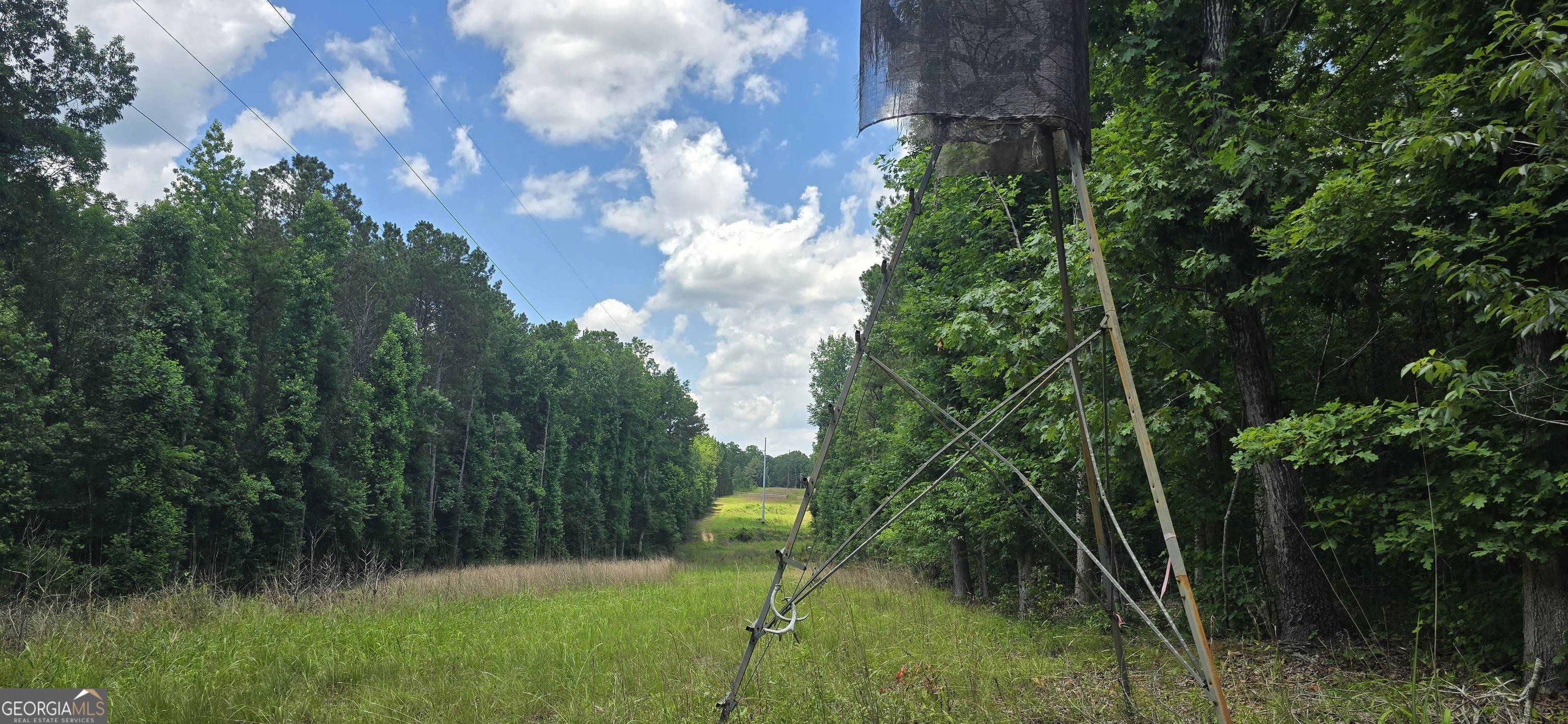 1693 South McDonough Road Griffin, GA 30224 - Photo 26 of 93