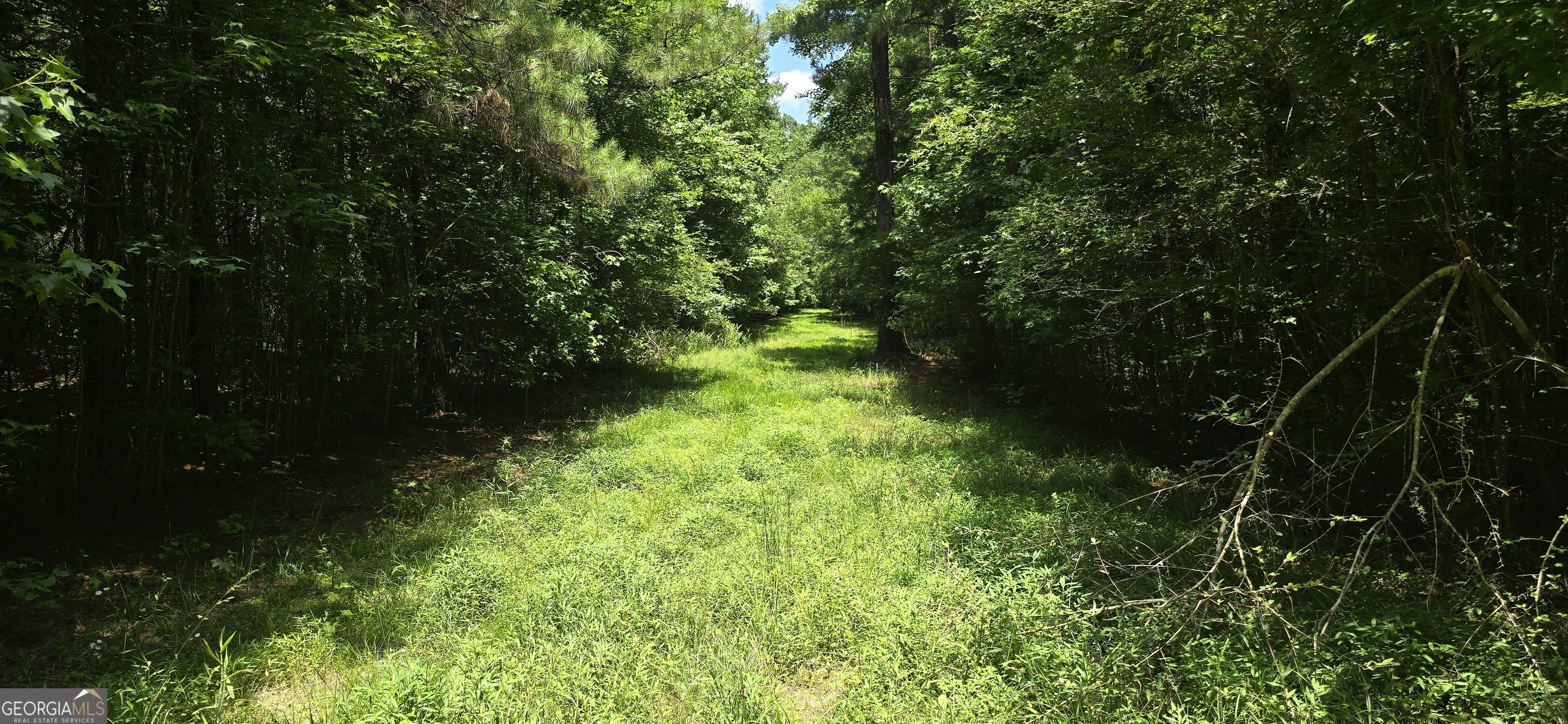 1693 South McDonough Road Griffin, GA 30224 - Photo 33 of 93