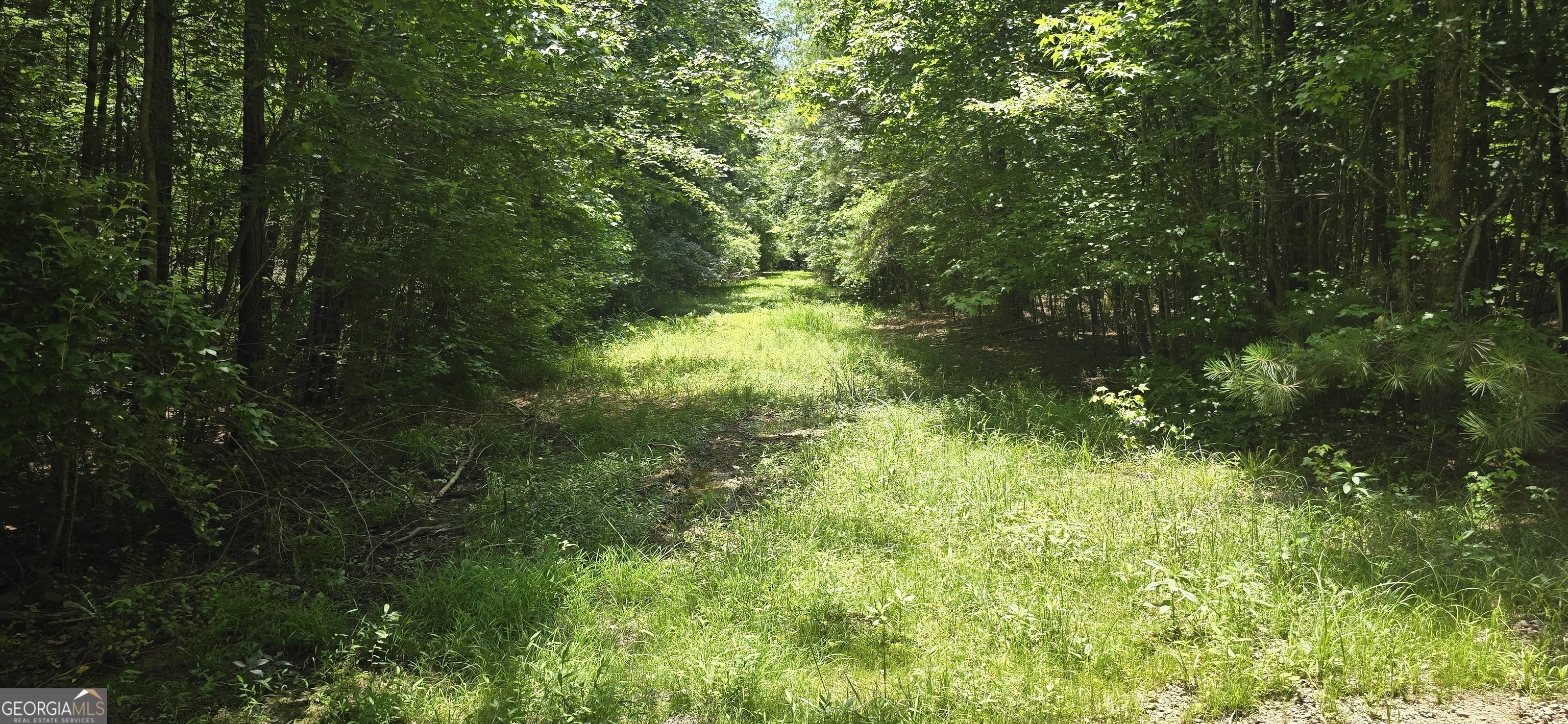 1693 South McDonough Road Griffin, GA 30224 - Photo 34 of 93