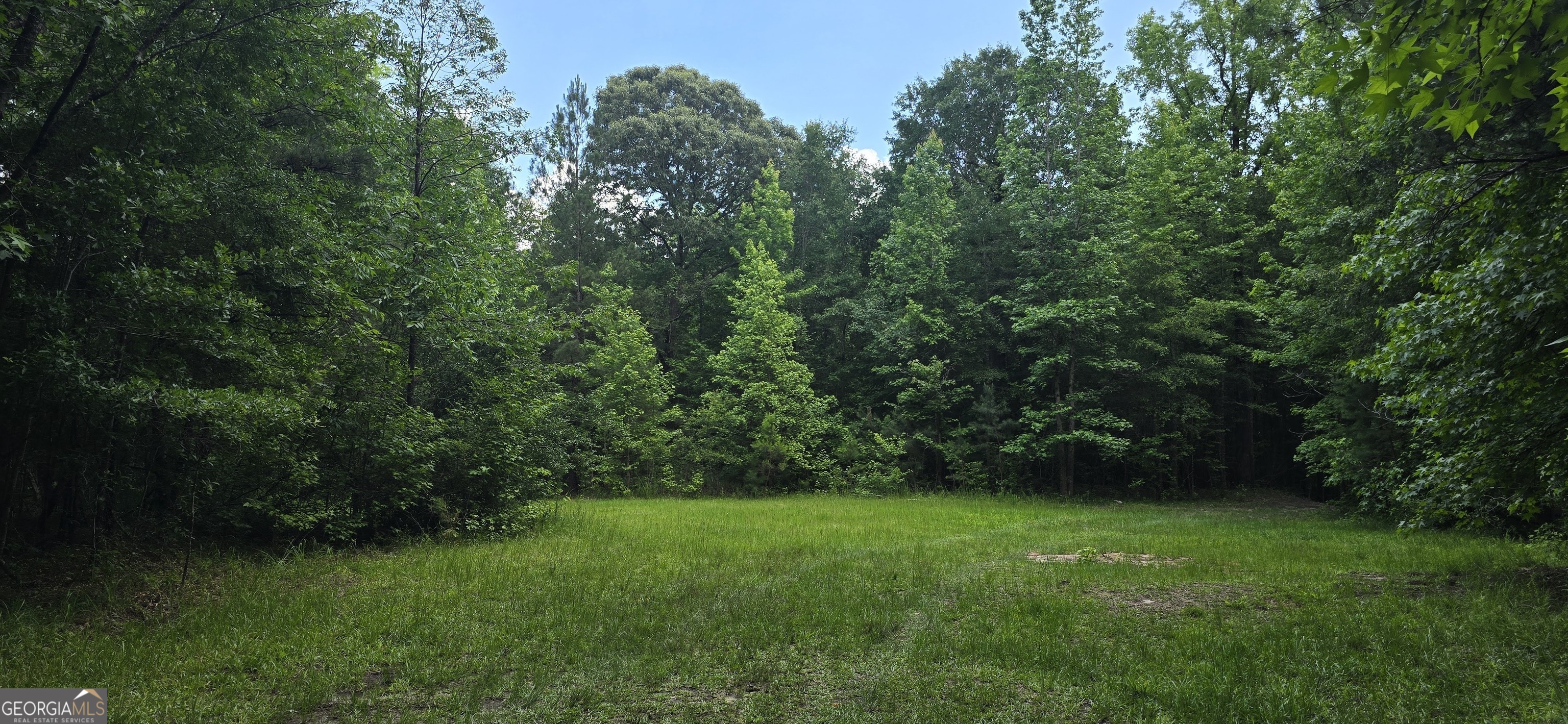 1693 South McDonough Road Griffin, GA 30224 - Photo 35 of 93