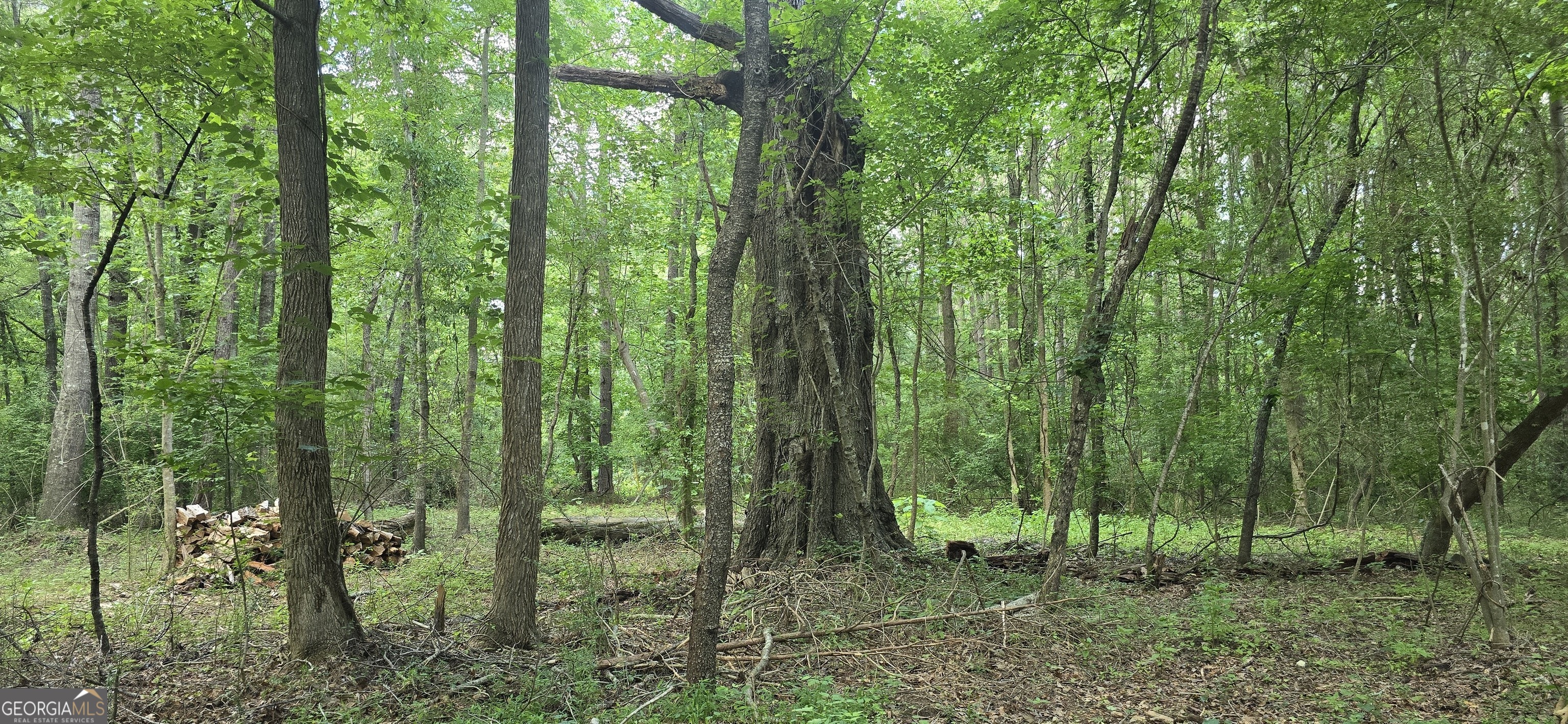 1693 South McDonough Road Griffin, GA 30224 - Photo 37 of 93