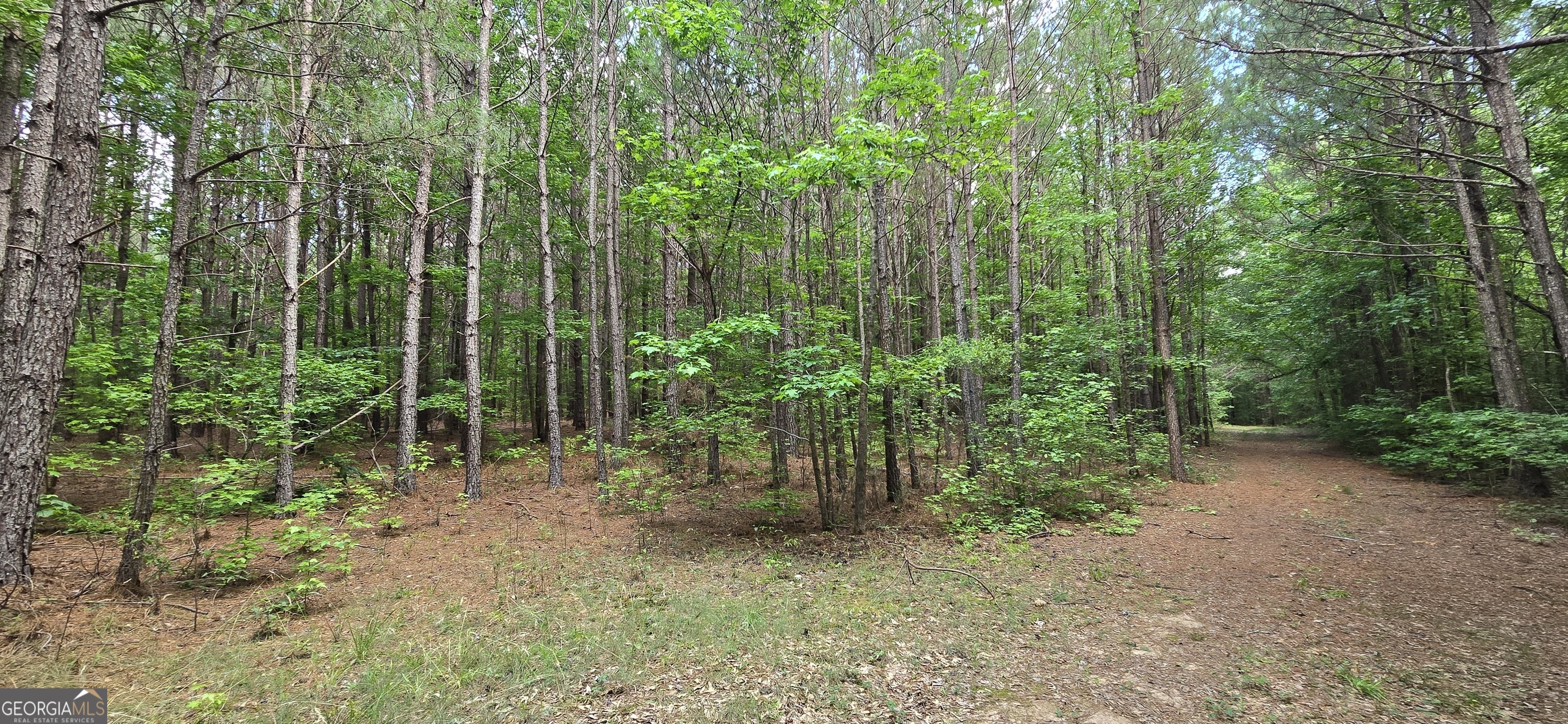 1693 South McDonough Road Griffin, GA 30224 - Photo 38 of 93