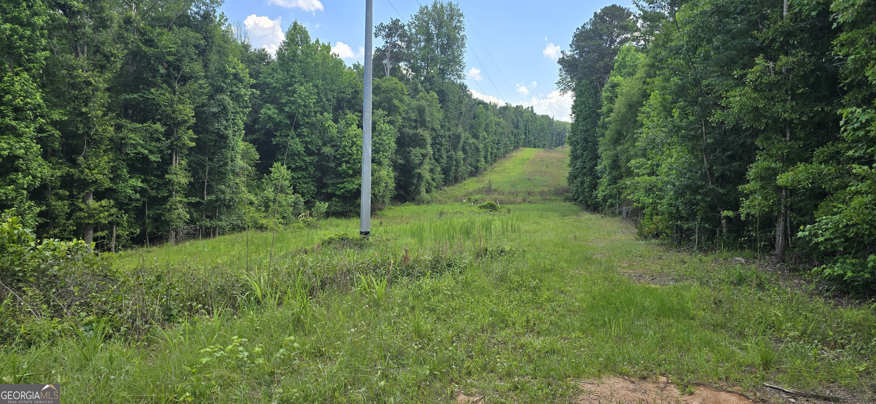1693 South McDonough Road Griffin, GA 30224 - Photo 40 of 93