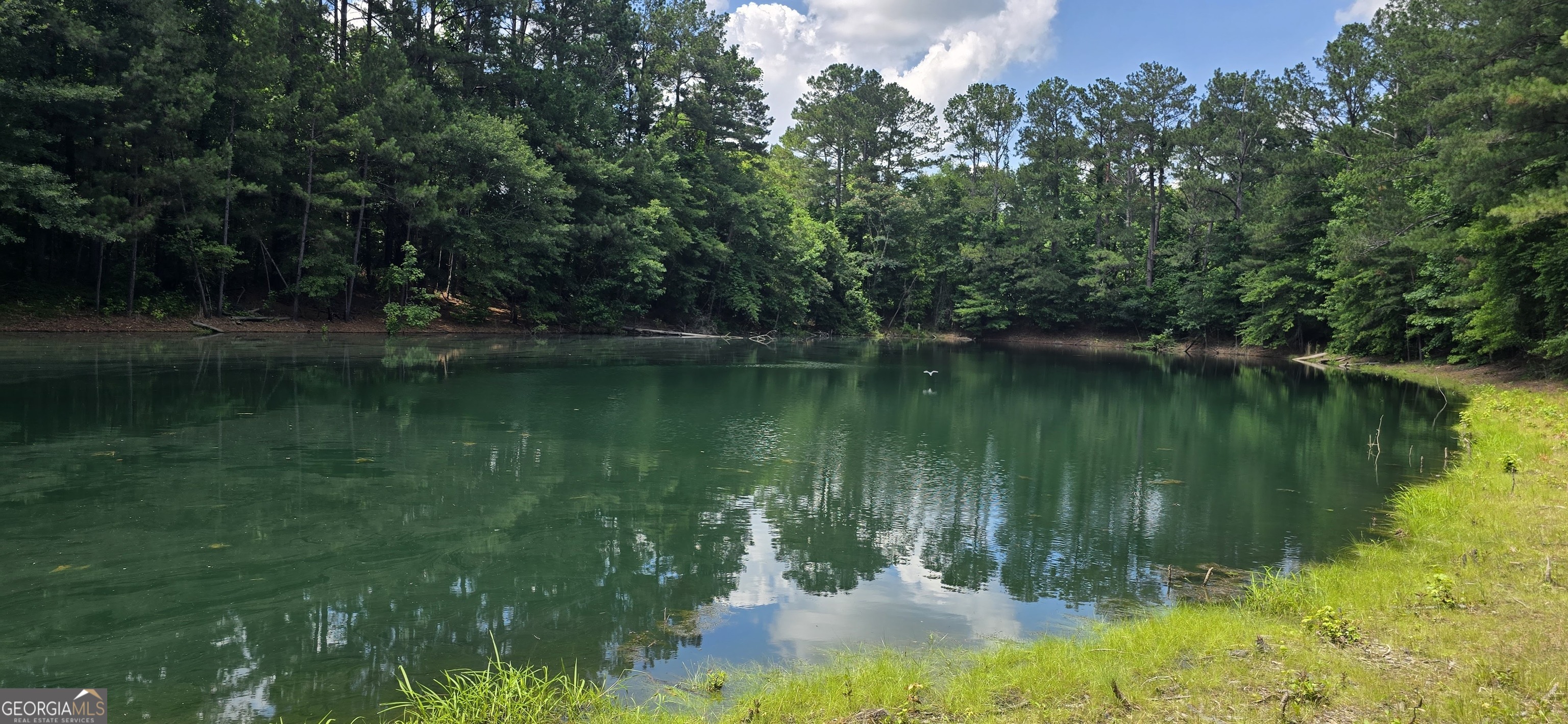 1693 South McDonough Road Griffin, GA 30224 - Photo 4 of 93