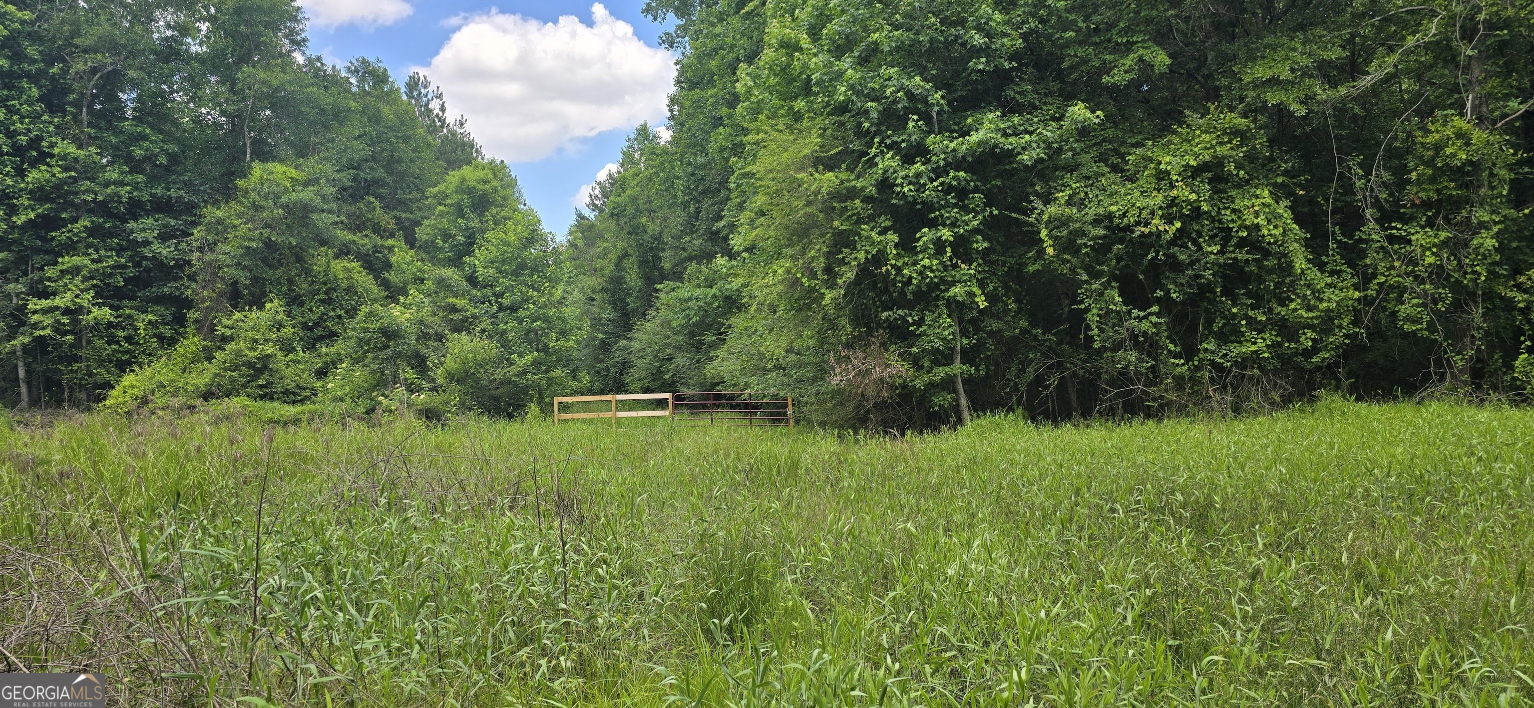 1693 South McDonough Road Griffin, GA 30224 - Photo 42 of 93
