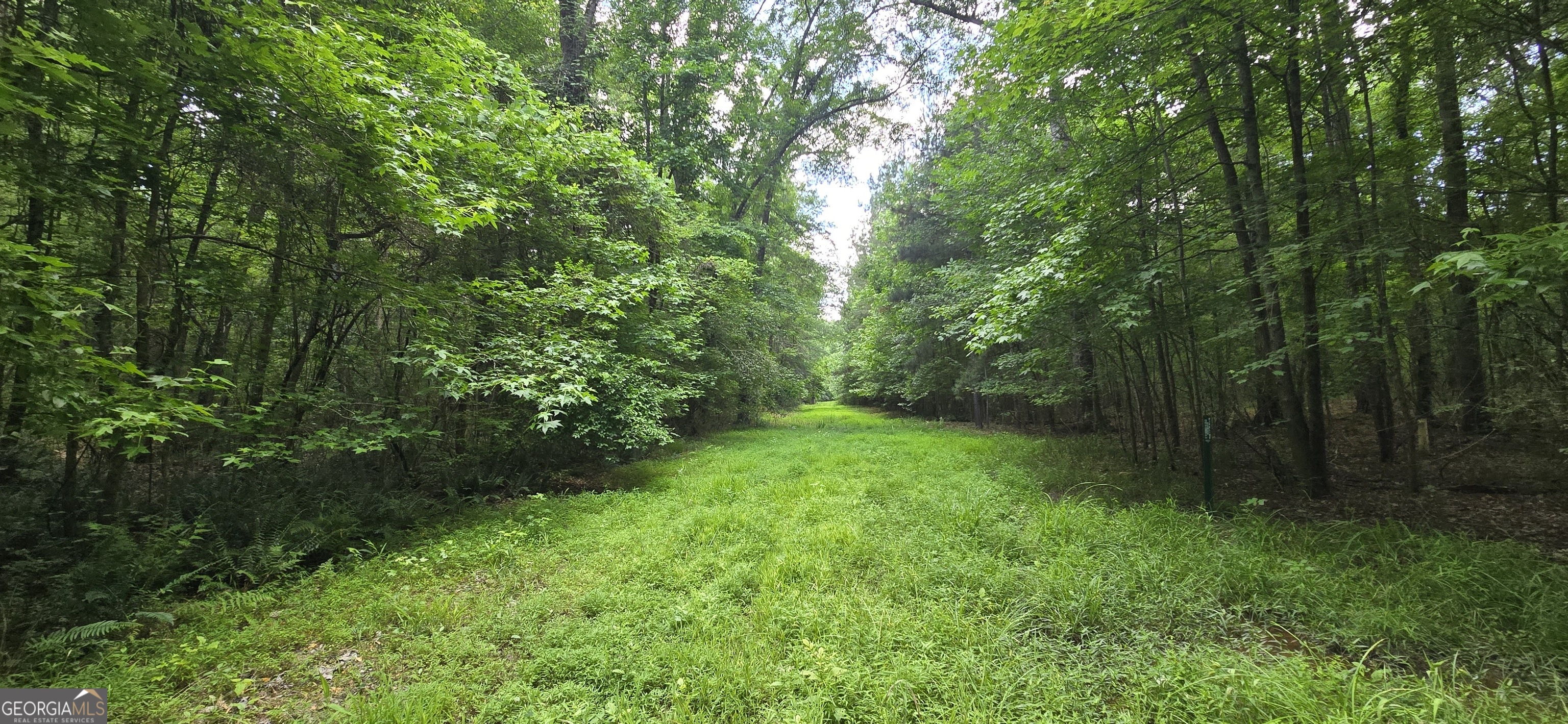1693 South McDonough Road Griffin, GA 30224 - Photo 45 of 93