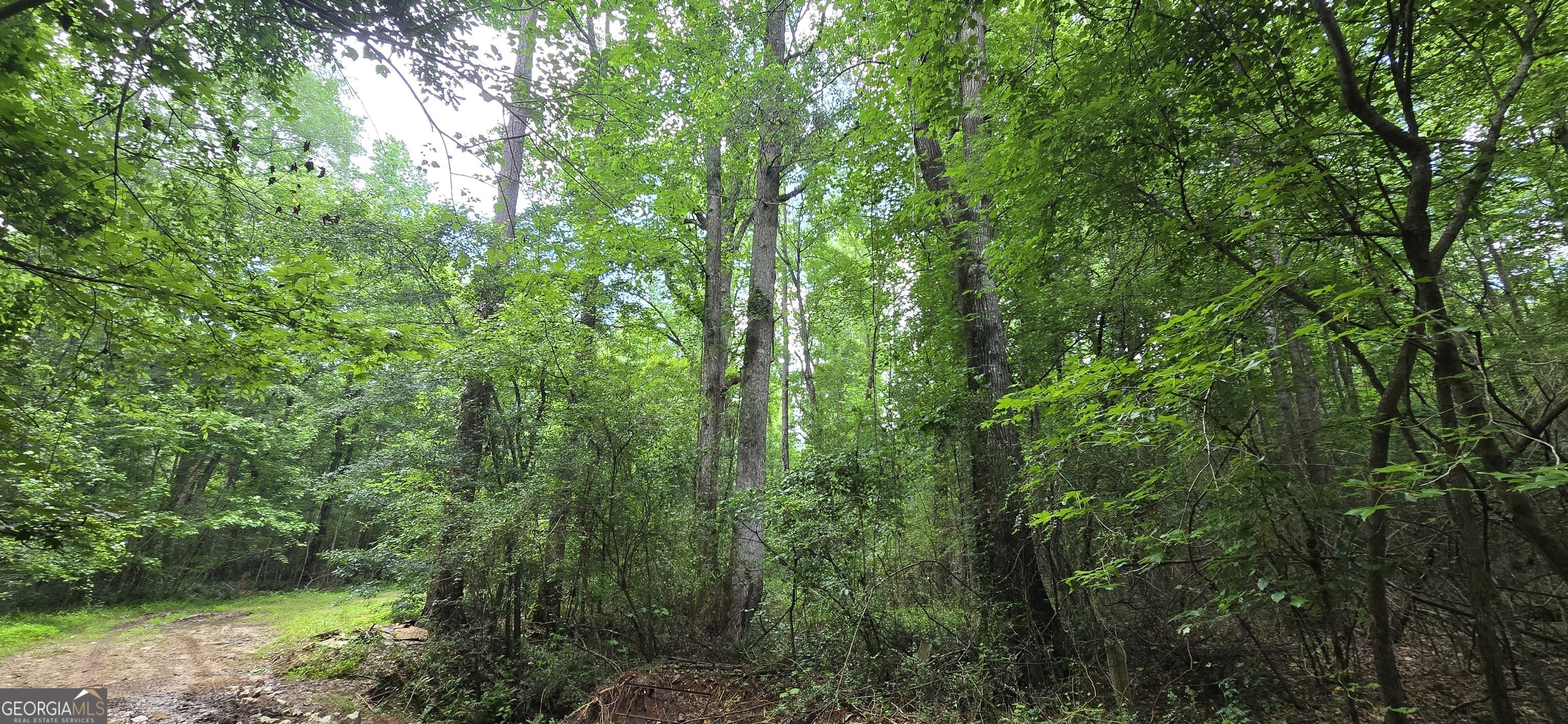1693 South McDonough Road Griffin, GA 30224 - Photo 47 of 93