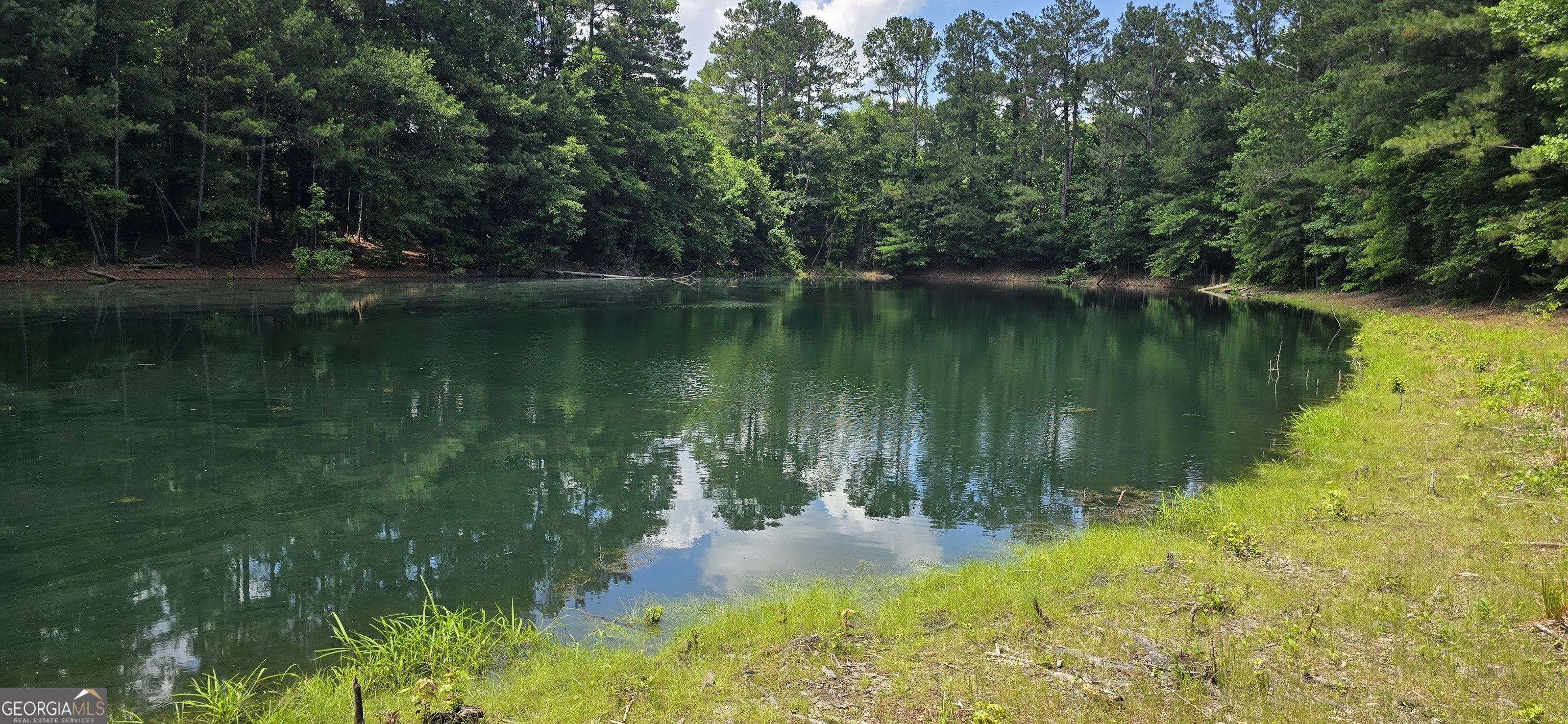 1693 South McDonough Road Griffin, GA 30224 - Photo 5 of 93