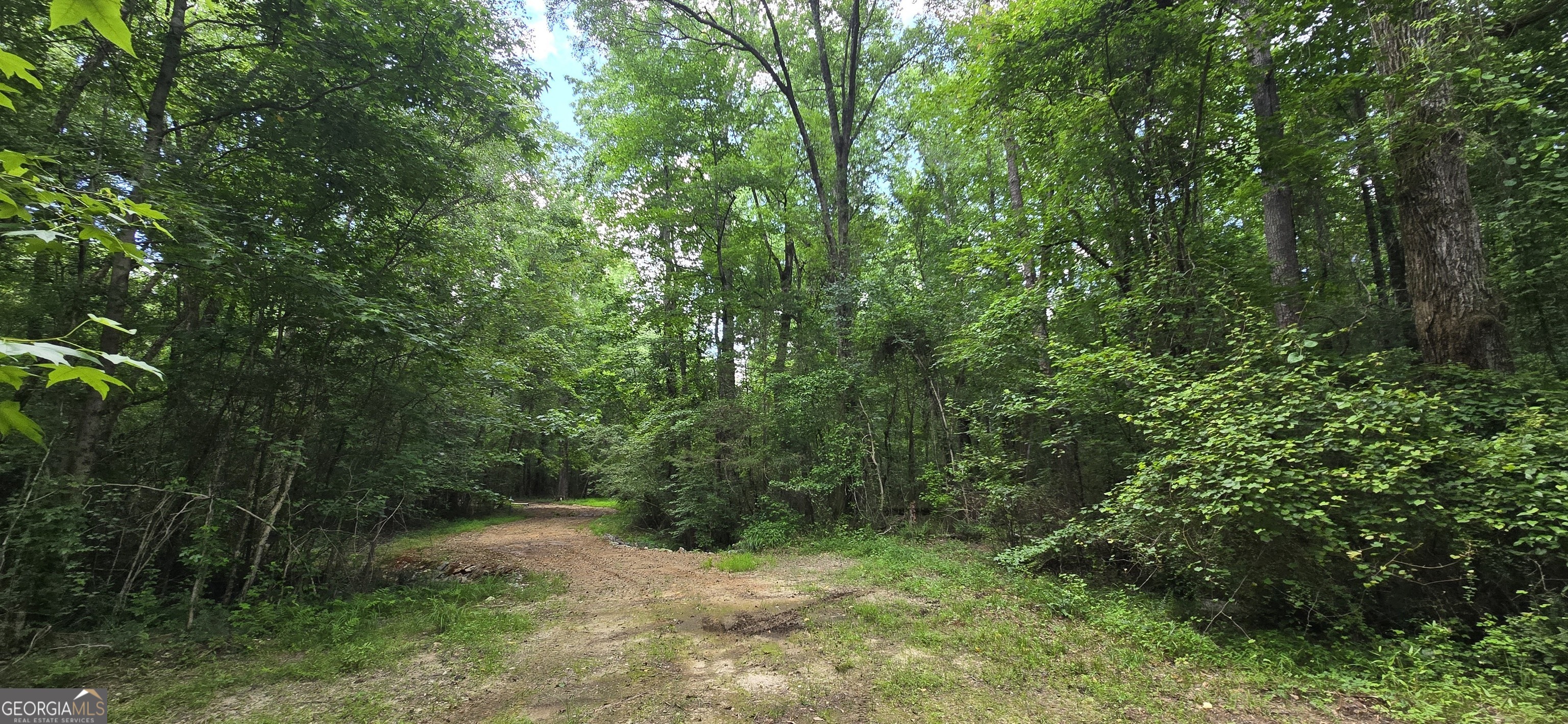 1693 South McDonough Road Griffin, GA 30224 - Photo 51 of 93