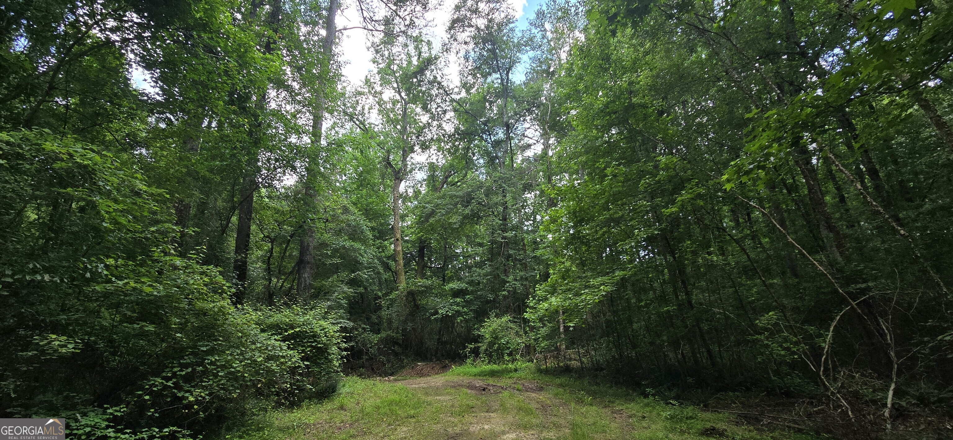 1693 South McDonough Road Griffin, GA 30224 - Photo 55 of 93