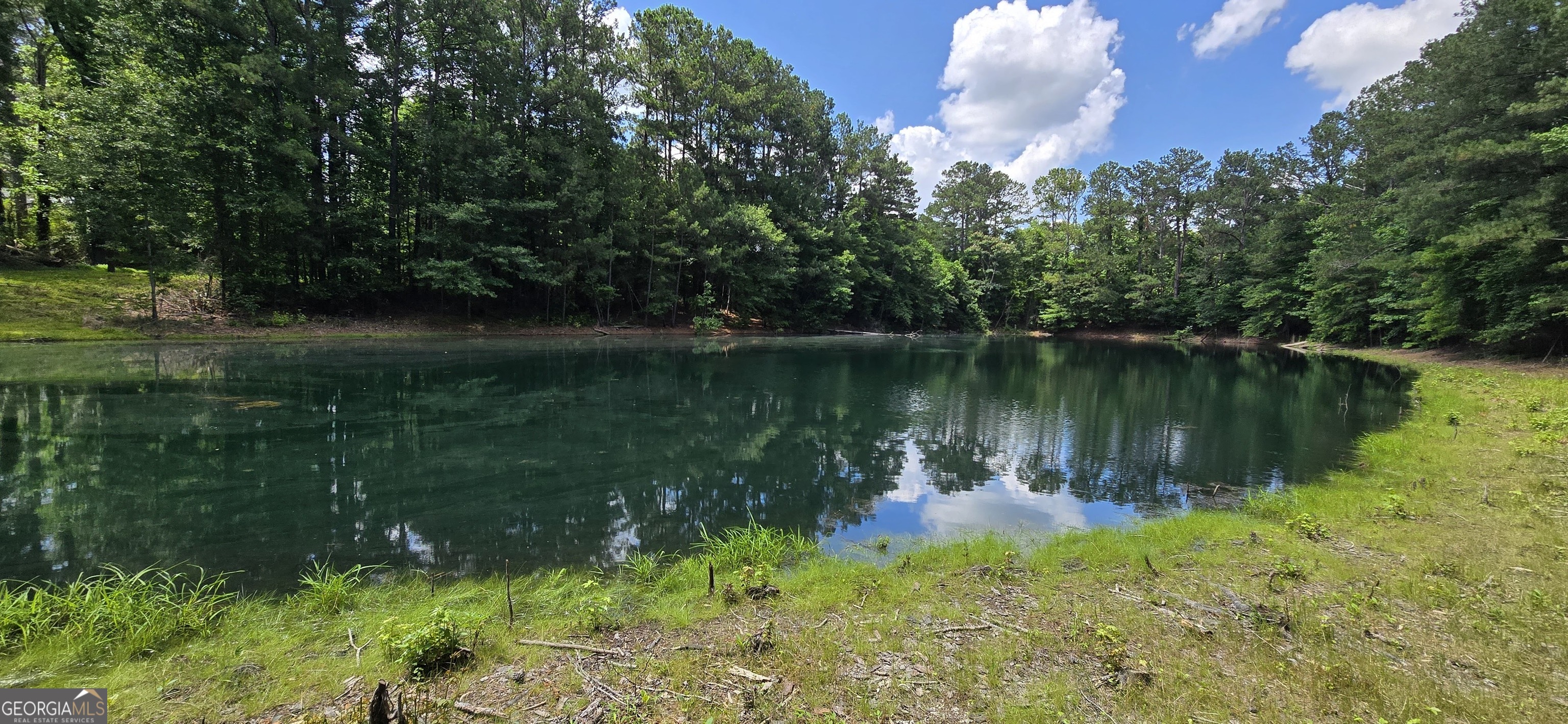 1693 South McDonough Road Griffin, GA 30224 - Photo 6 of 93