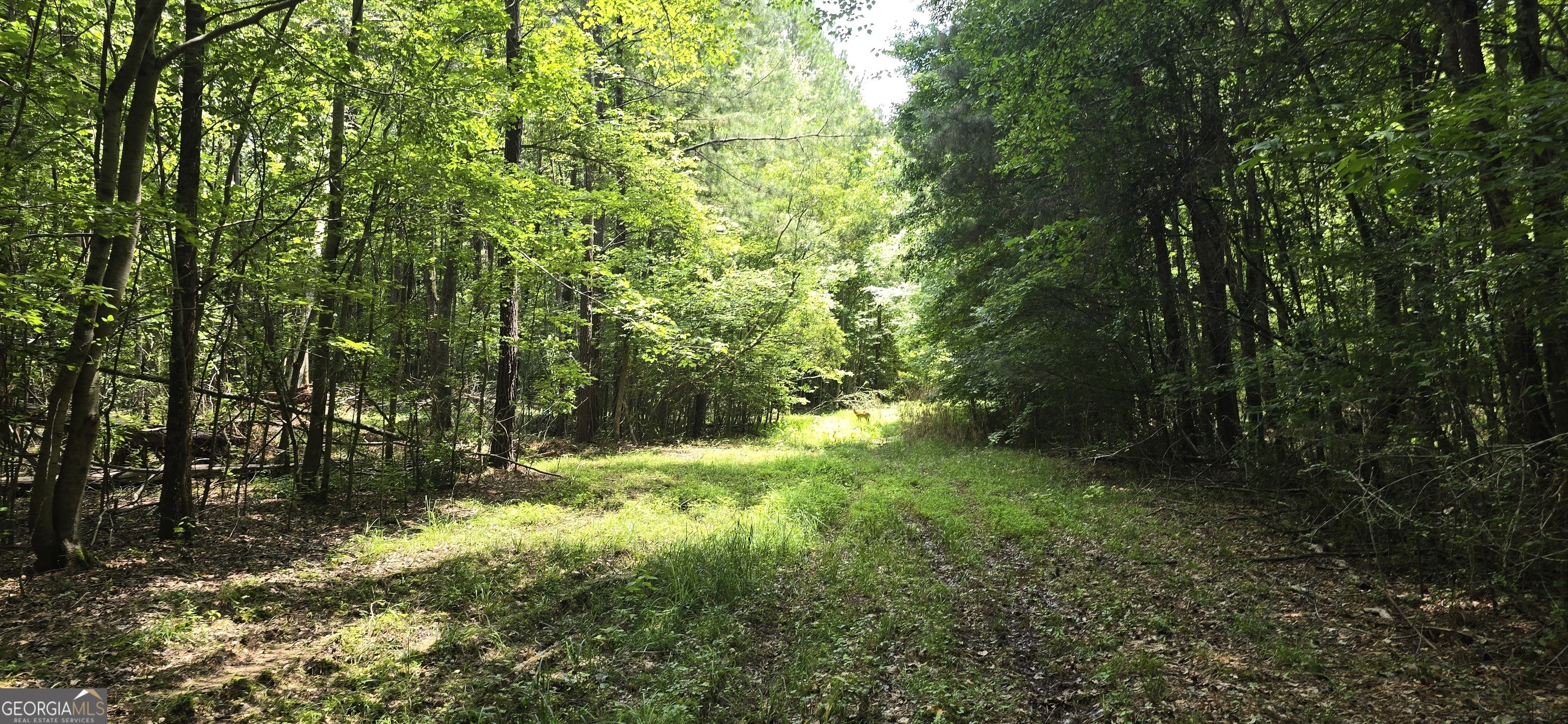 1693 South McDonough Road Griffin, GA 30224 - Photo 61 of 93