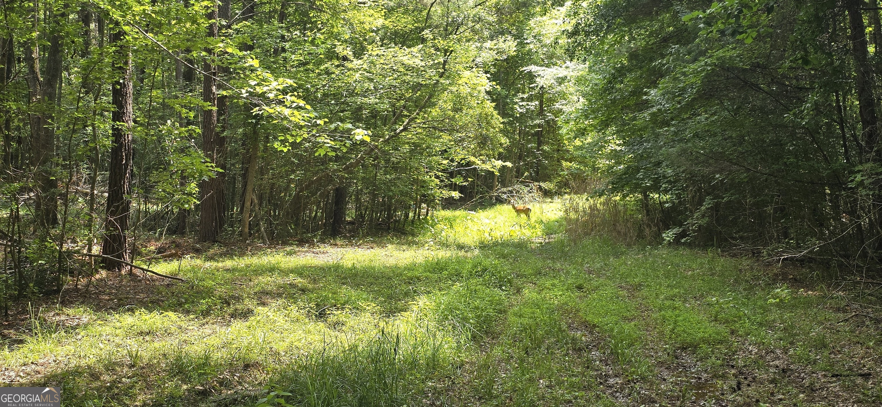 1693 South McDonough Road Griffin, GA 30224 - Photo 62 of 93