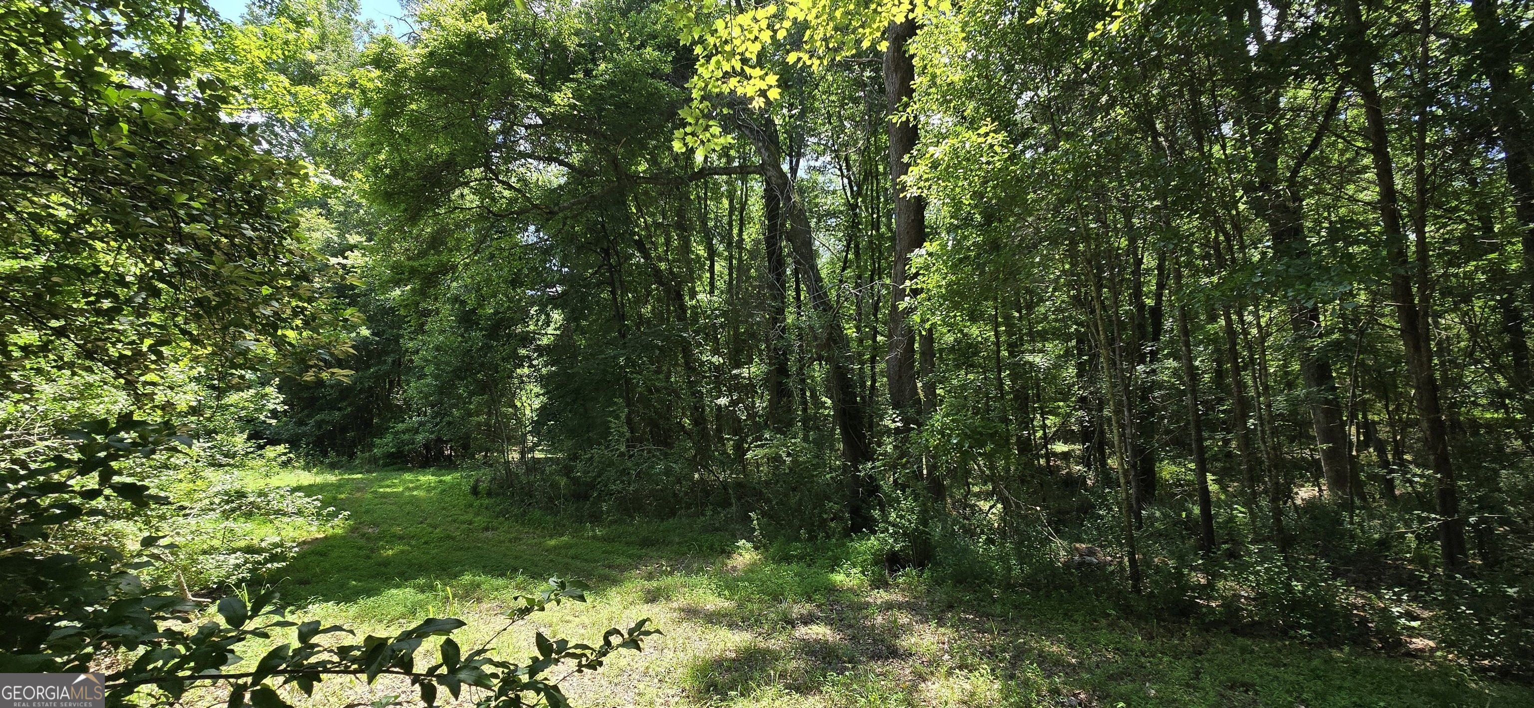 1693 South McDonough Road Griffin, GA 30224 - Photo 64 of 93