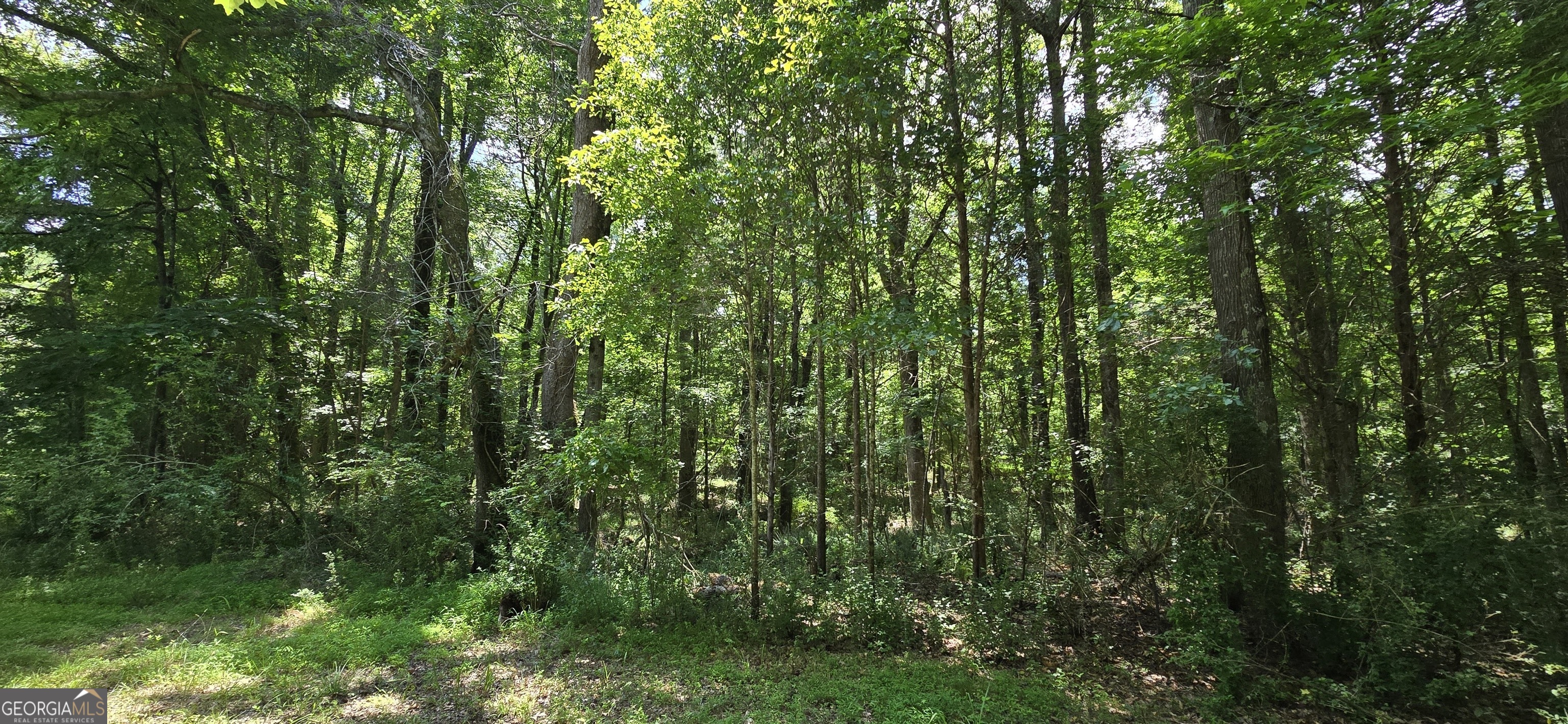 1693 South McDonough Road Griffin, GA 30224 - Photo 65 of 93