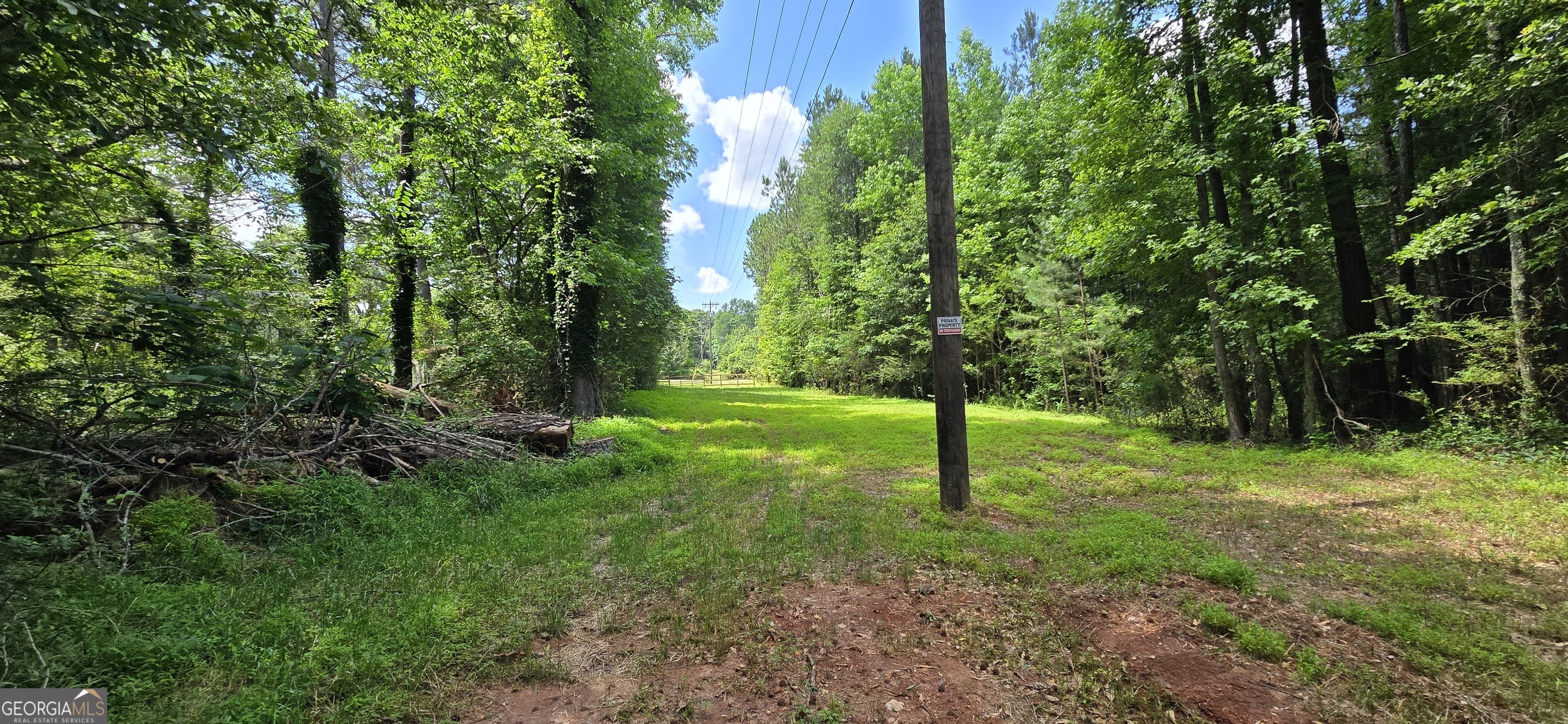 1693 South McDonough Road Griffin, GA 30224 - Photo 9 of 93
