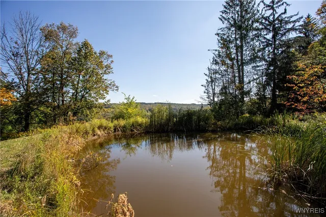 $997,299 | 8850 Rohr Hill Road, Ashford, NY 14171