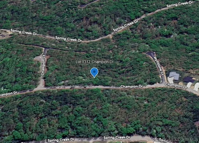 $6,000 | Lot 1312 Champion Drive, Sunrise Beach, MO 65079