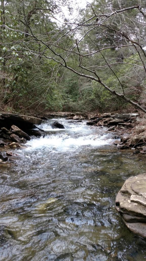 3714 Barker Camp Road Dunlap, TN 37327 - Photo 9 of 15 waterfall3
