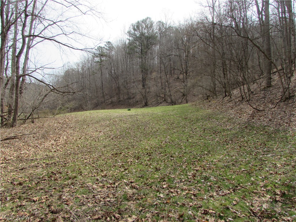 Bean Ridge Road Smithville, WV 26178 - Photo 6 of 34 Gallery Image 6