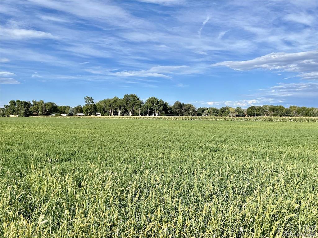 Tbd County Farm Road Pueblo, CO 81006 - Photo 1 of 3 Gallery Image 1