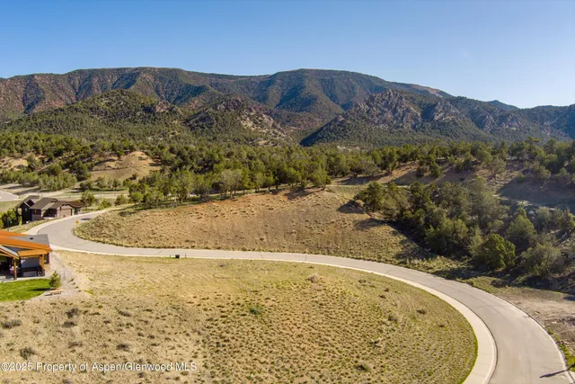 a view of a swimming pool with a yard