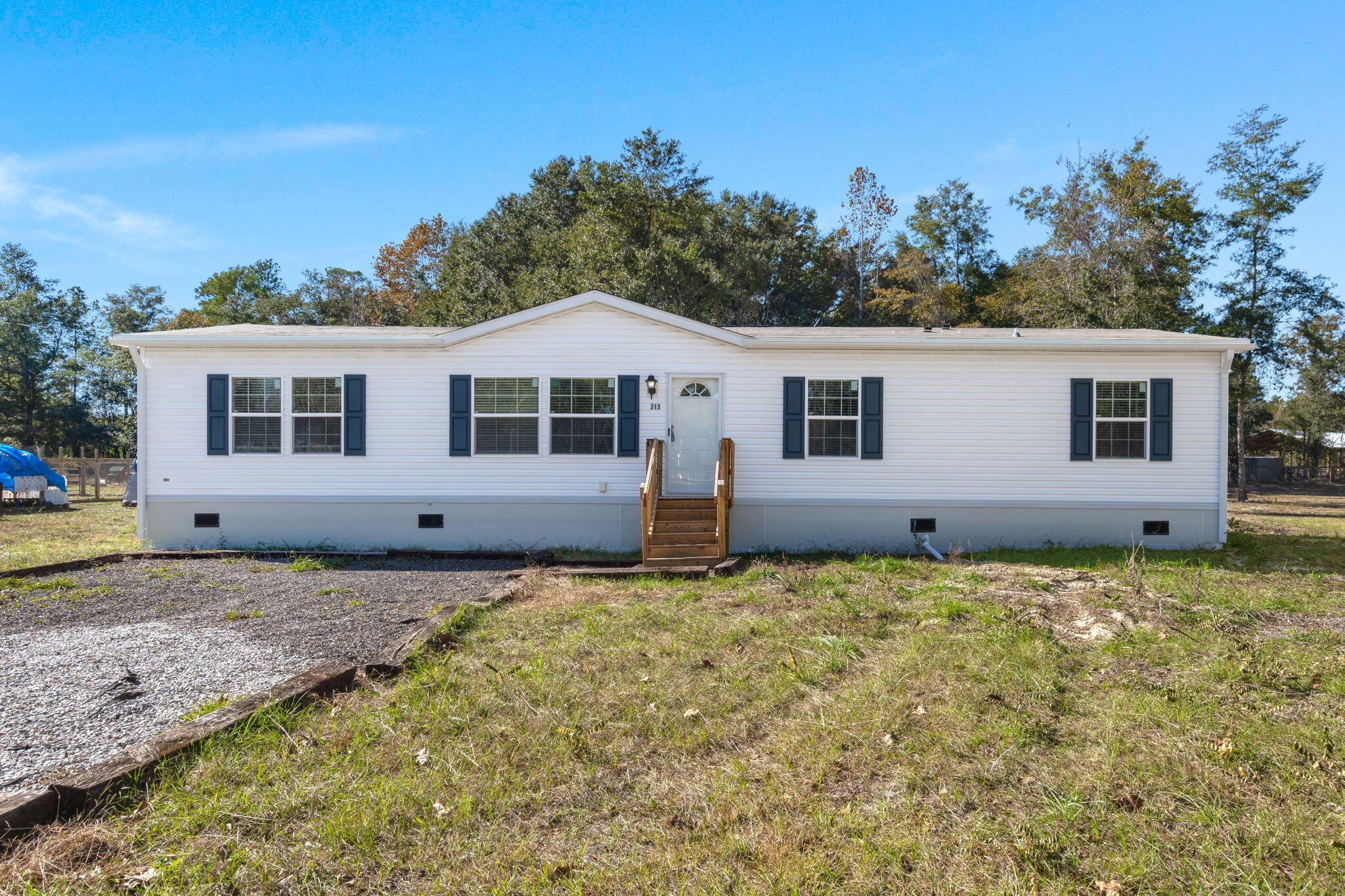 313 Marion Road Dorchester, SC 29437 - Photo 3 of 31 3