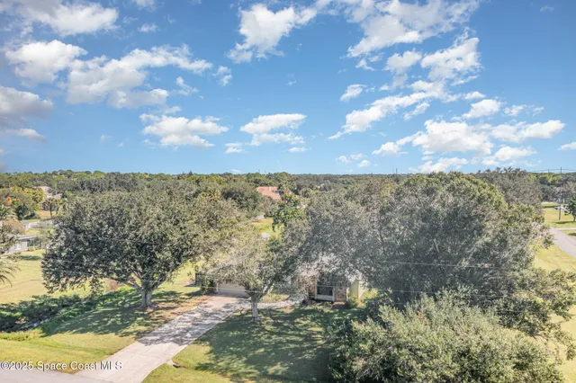 a view of a yard with plants and trees
