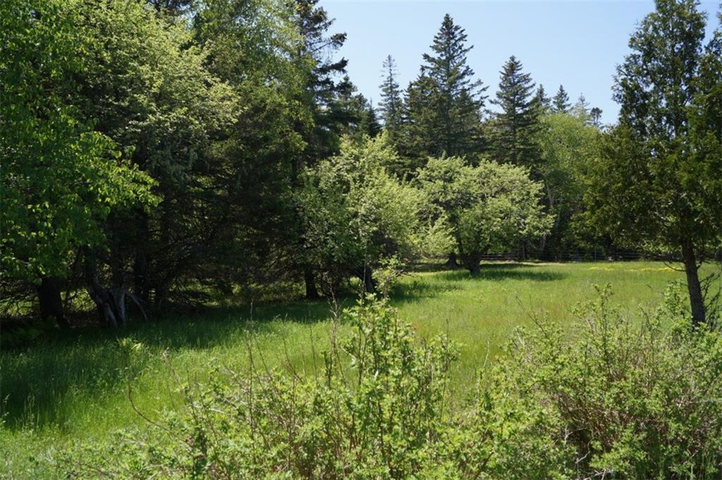 603 Point Road Hancock, ME 04640 - Photo 24 of 30 Photo