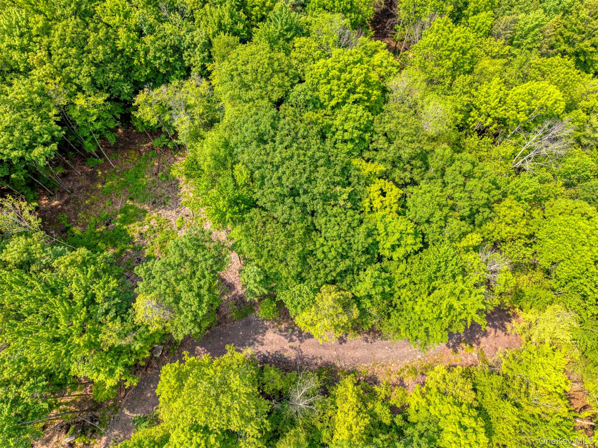 Tbd Boulder Brook Road Windham, NY 12496 - Photo 16 of 46 Aerial view