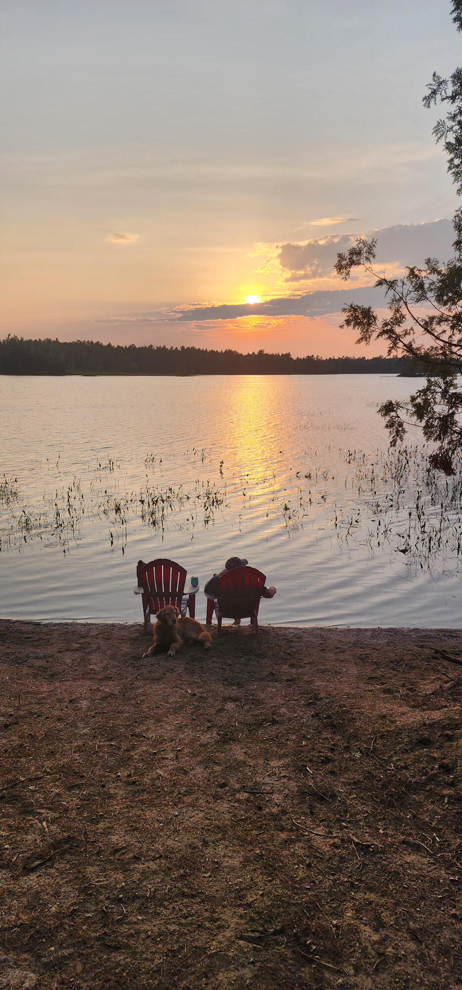 6 Wilderness Way Wesley, ME 04686 - Photo 6 of 26