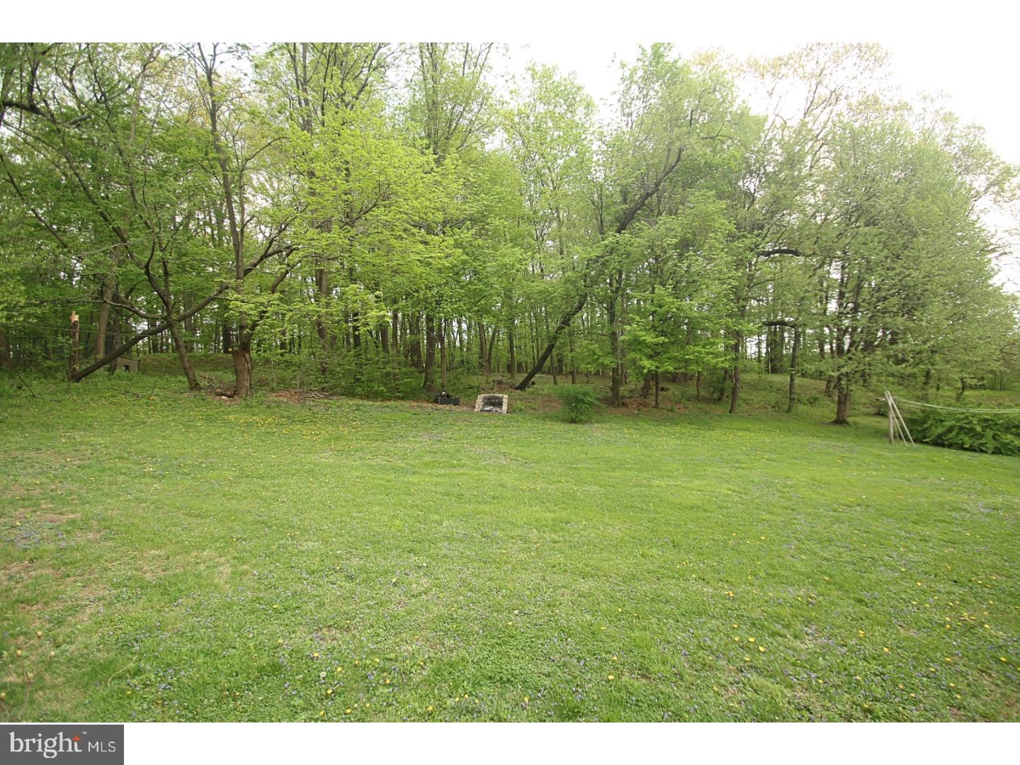 1550 County Line Road Gilbertsville, PA 19525 - Photo 15 of 15 Back Yard