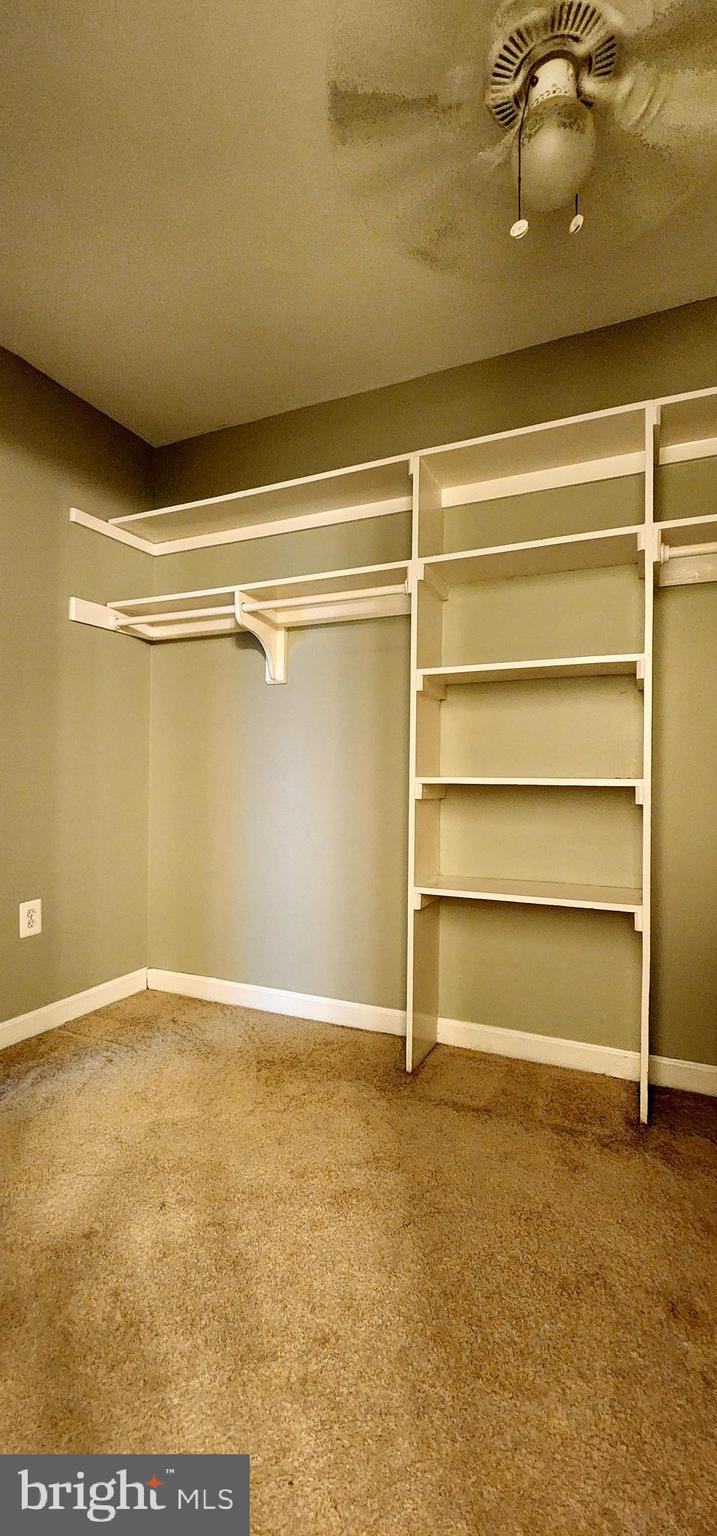 1021 Arlington Boulevard, Unit 425 Arlington, VA 22209 - Photo 5 of 9 Walk in Closet